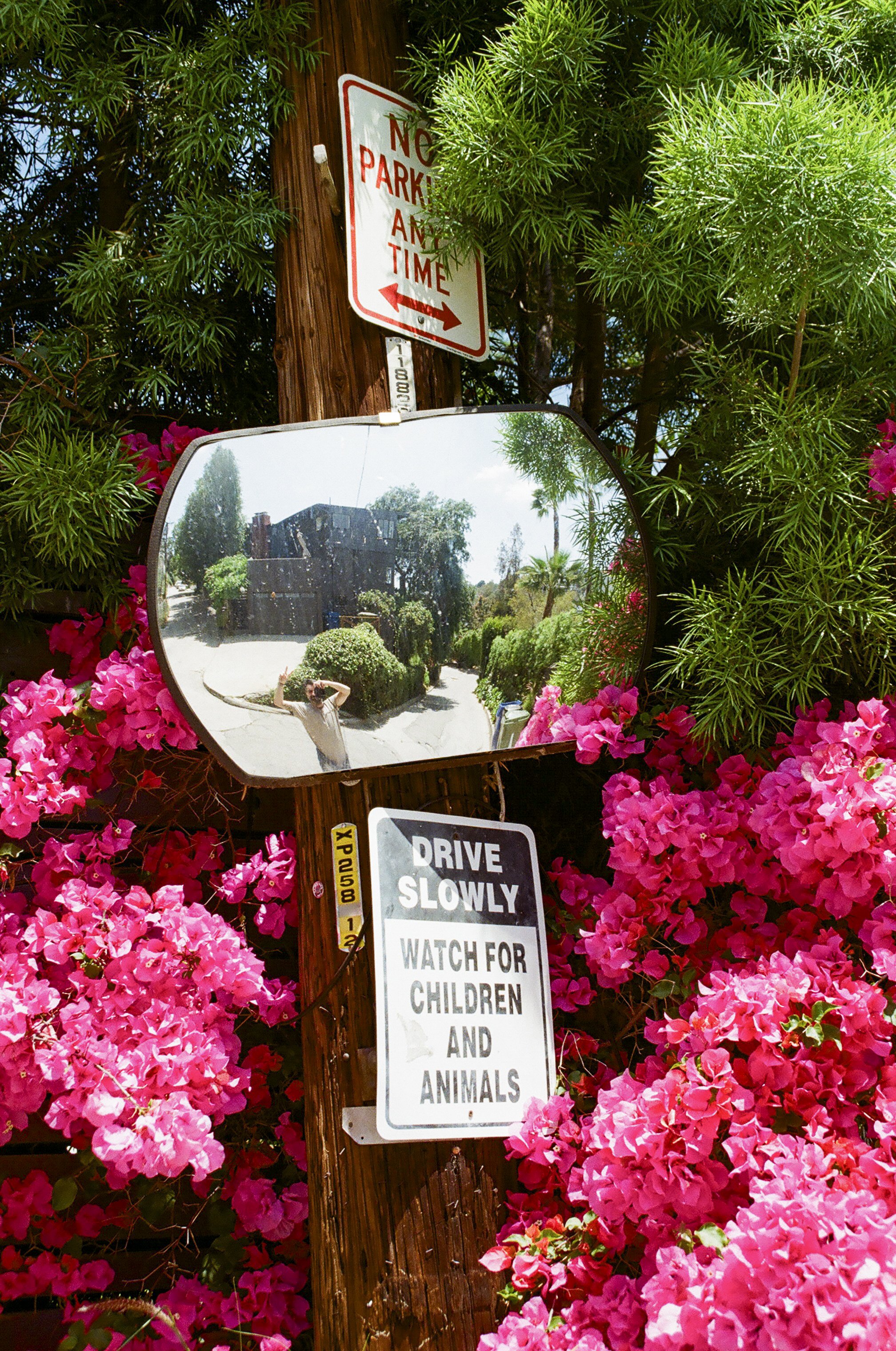 california film-41.jpg