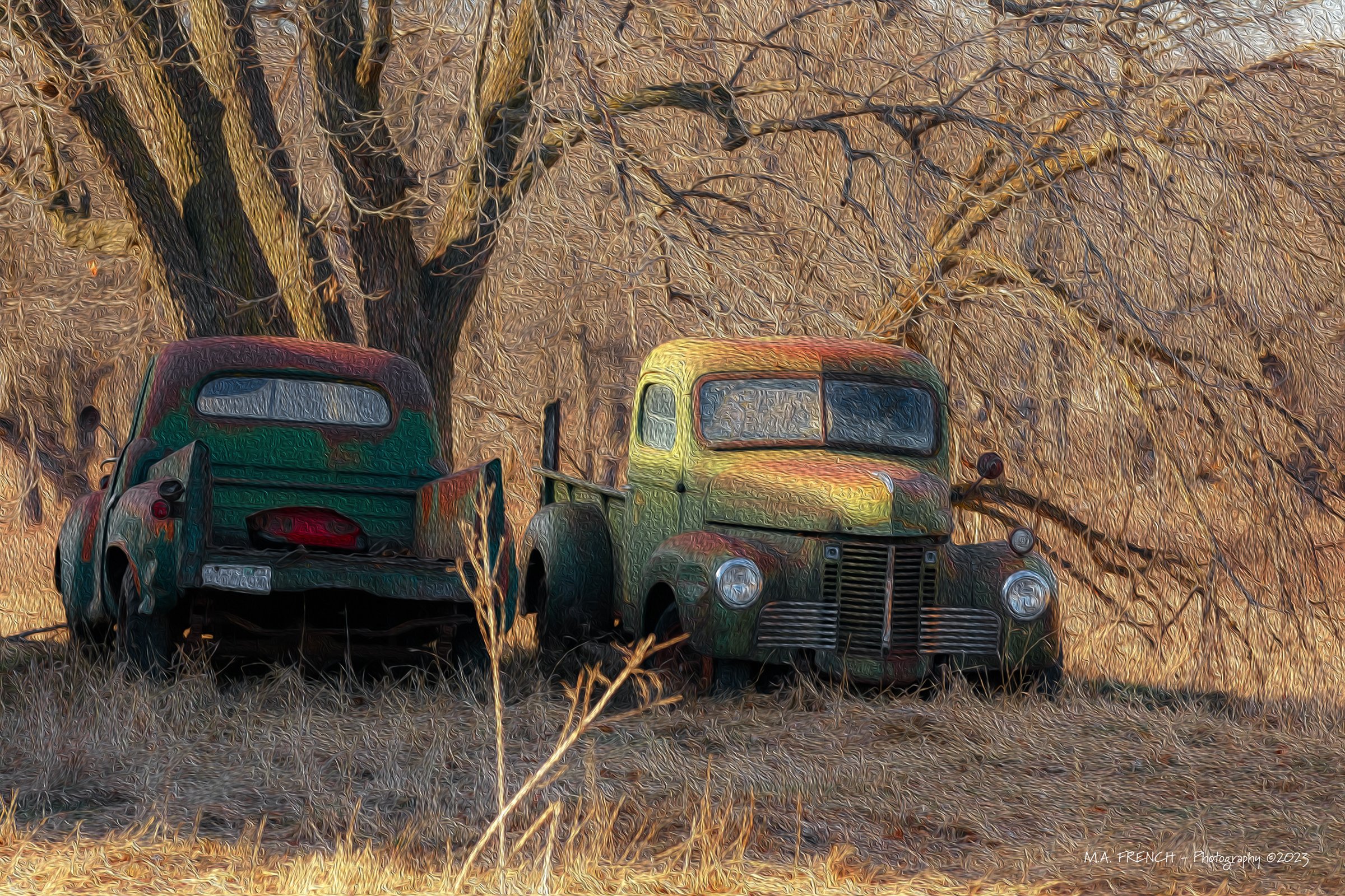 Pickups 8x10.jpg