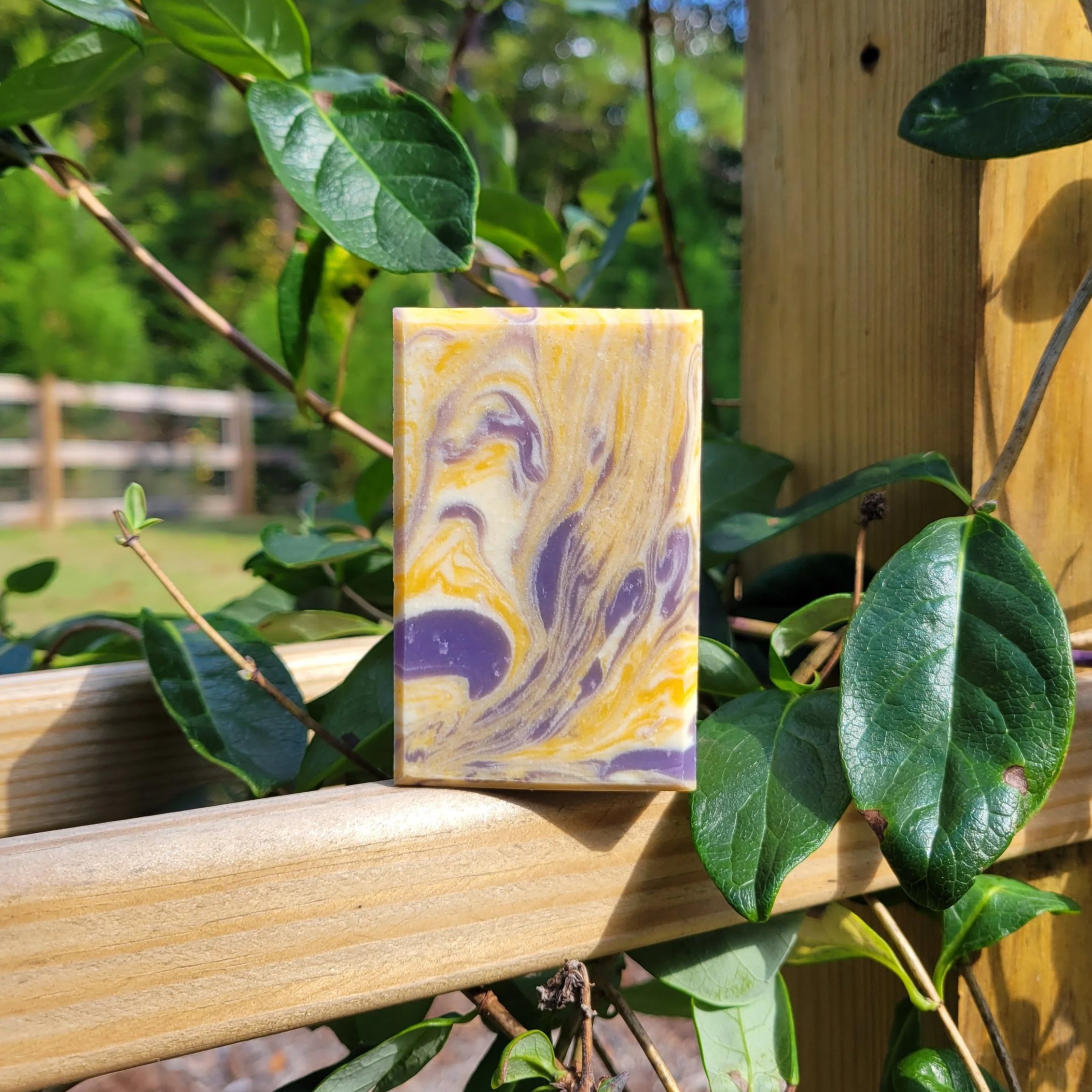 Lavender+Citrus+Swirl+Outdoor+Pic.jpg