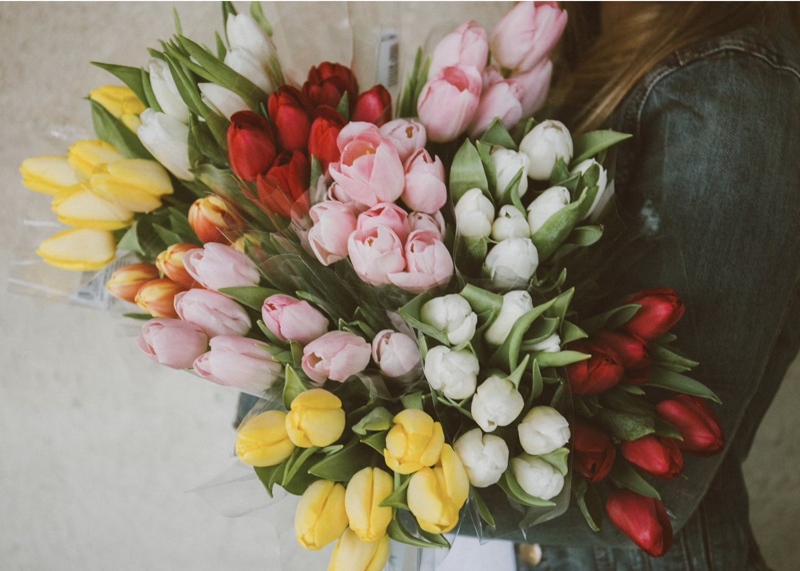 Capture d’écran, le 2026-04-23 à 13.22.53.png