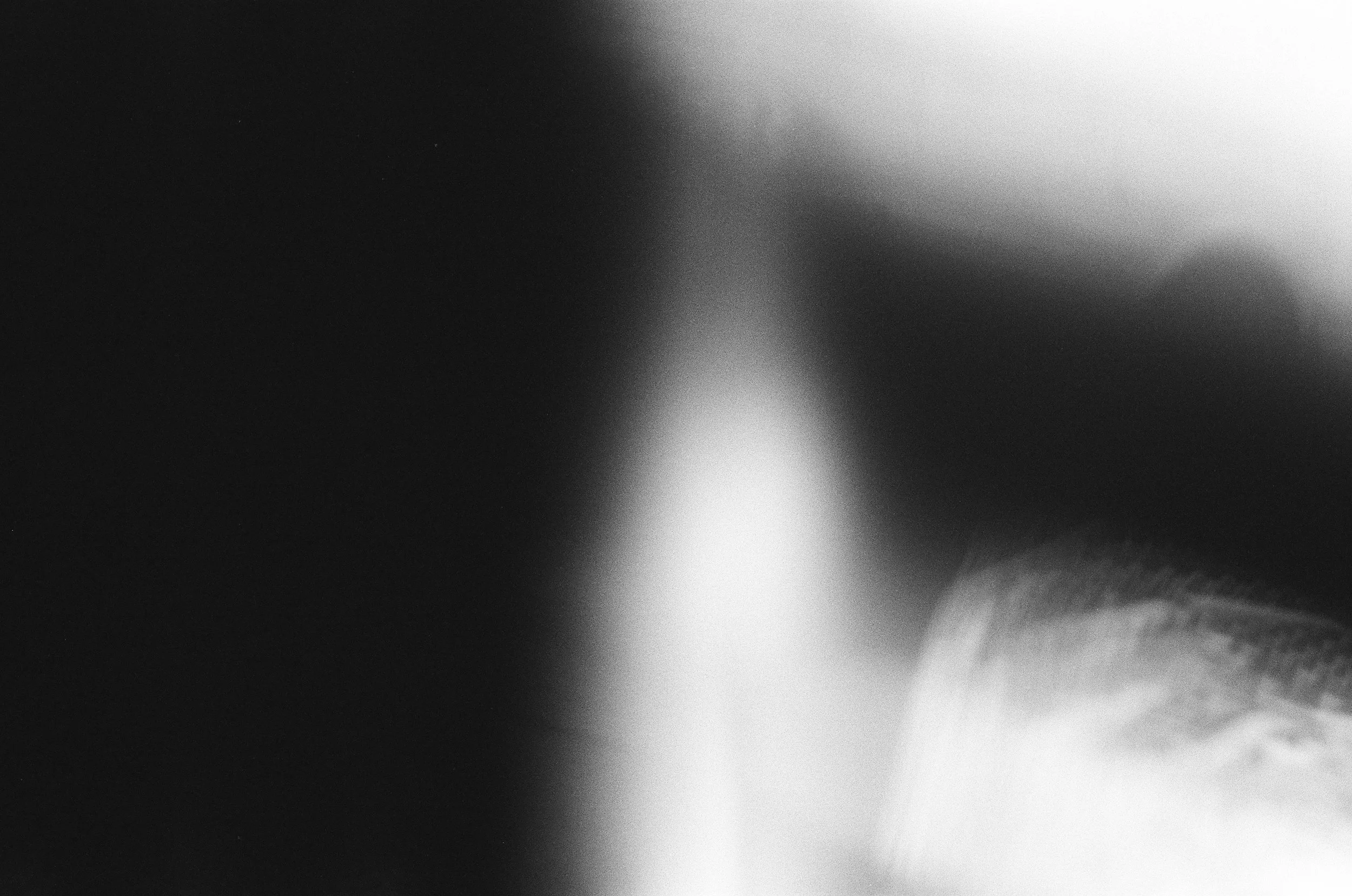 000055180007.jpg