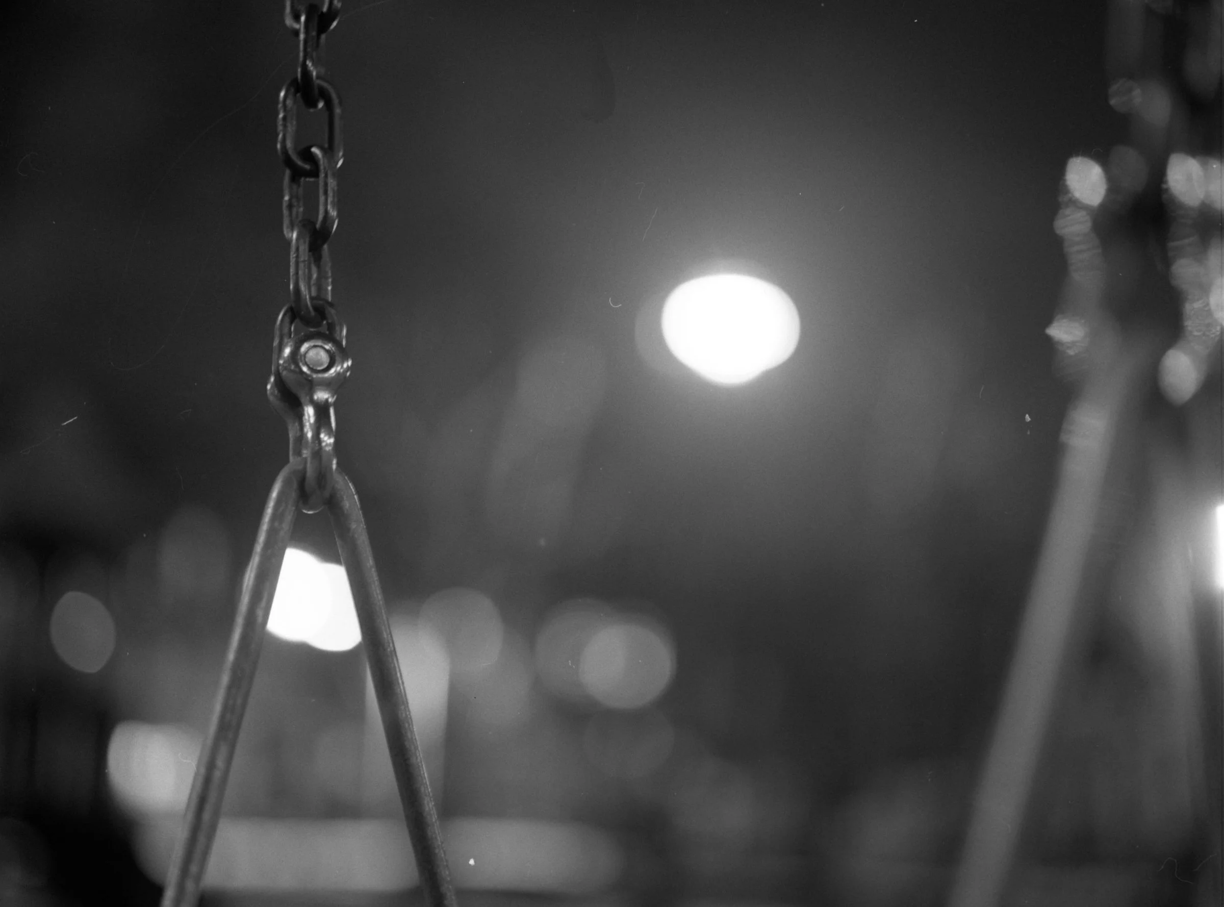 Feb, 14, 2026 (a) (Medium Format)