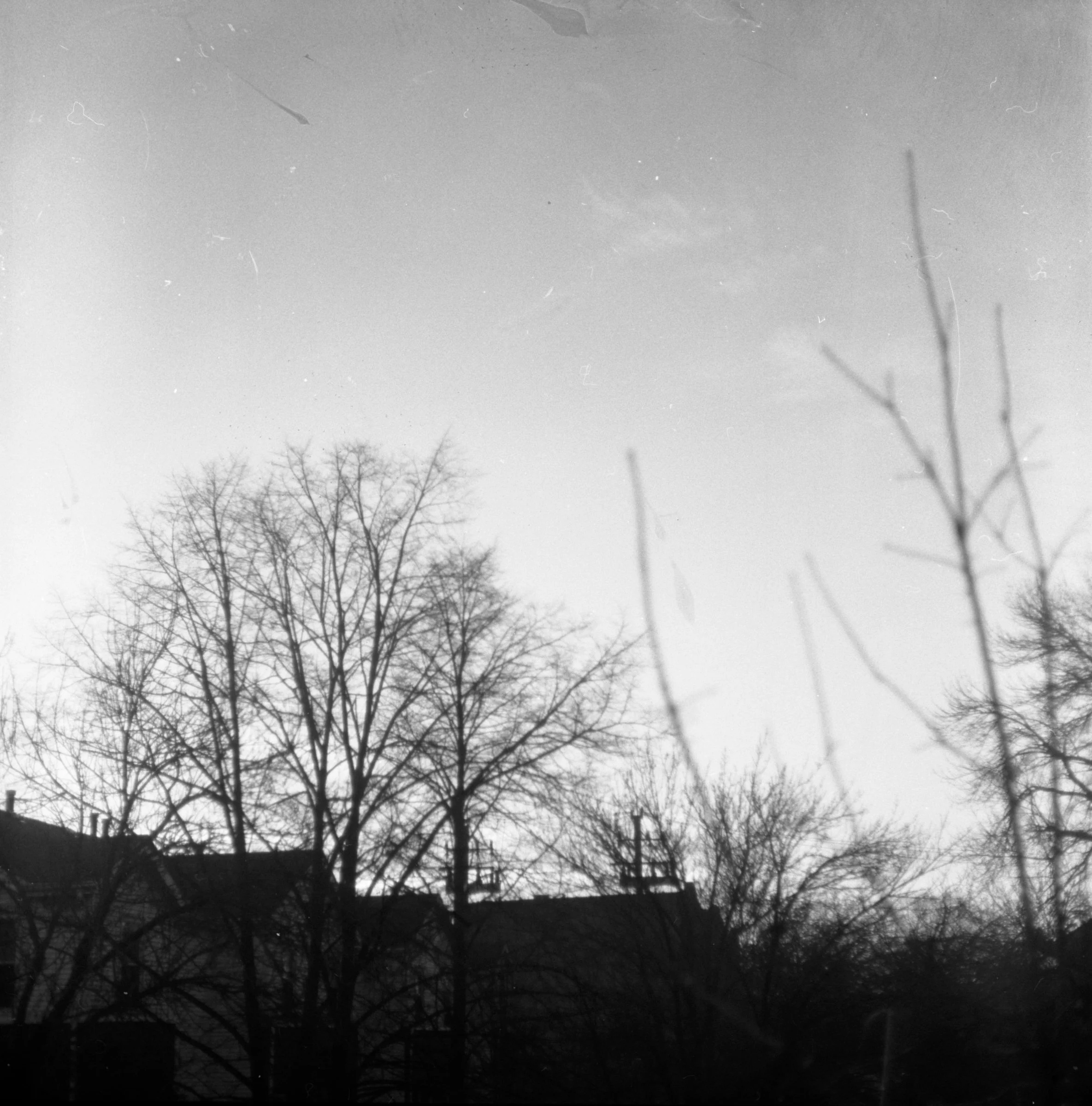 6x6 bw photos roll 1-02.jpg