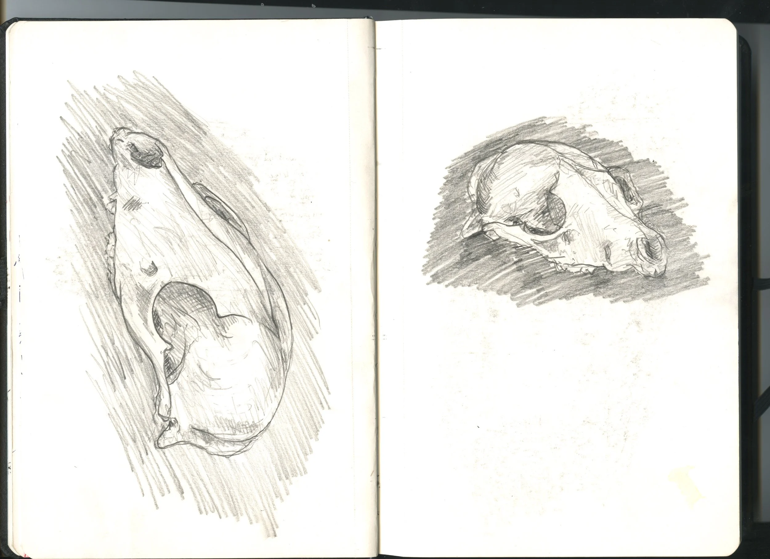 scans010.jpeg