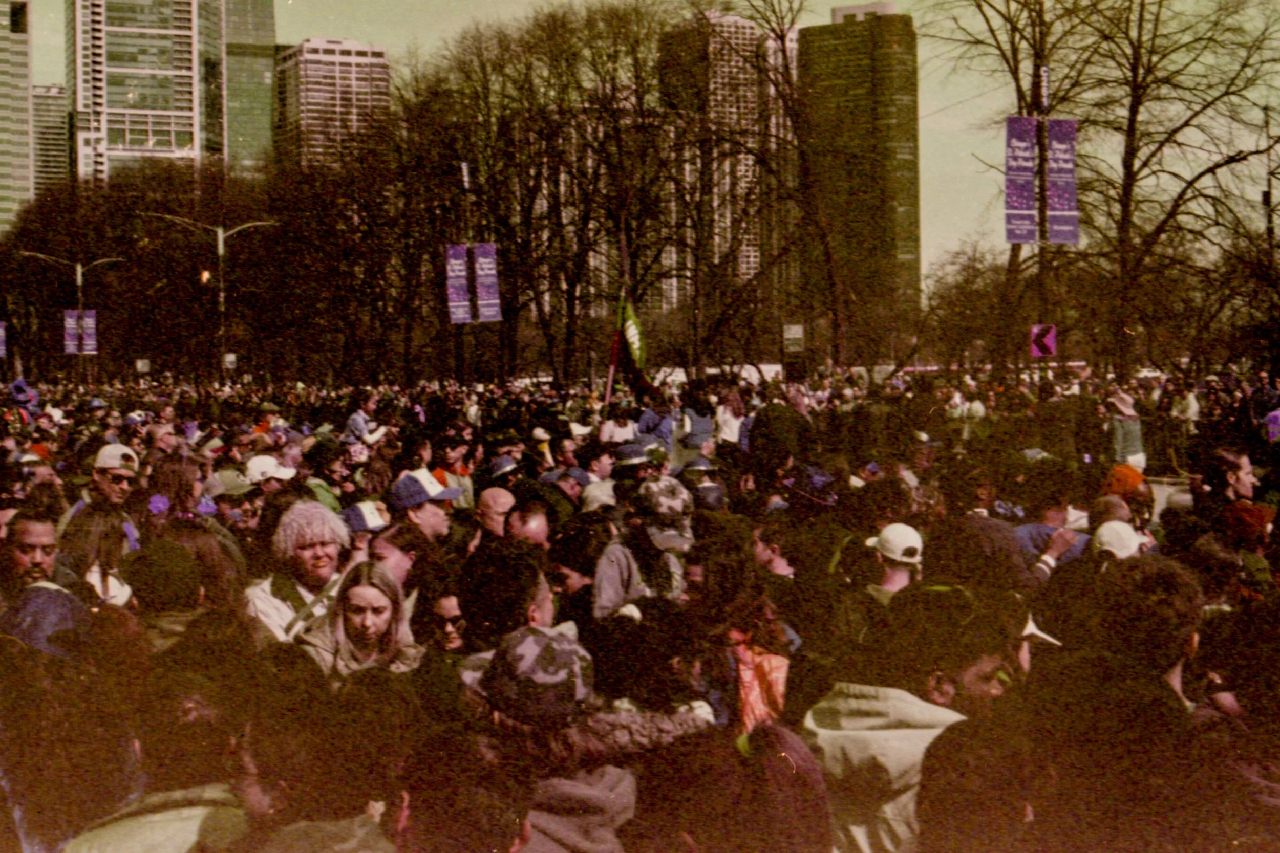 film20.jpg