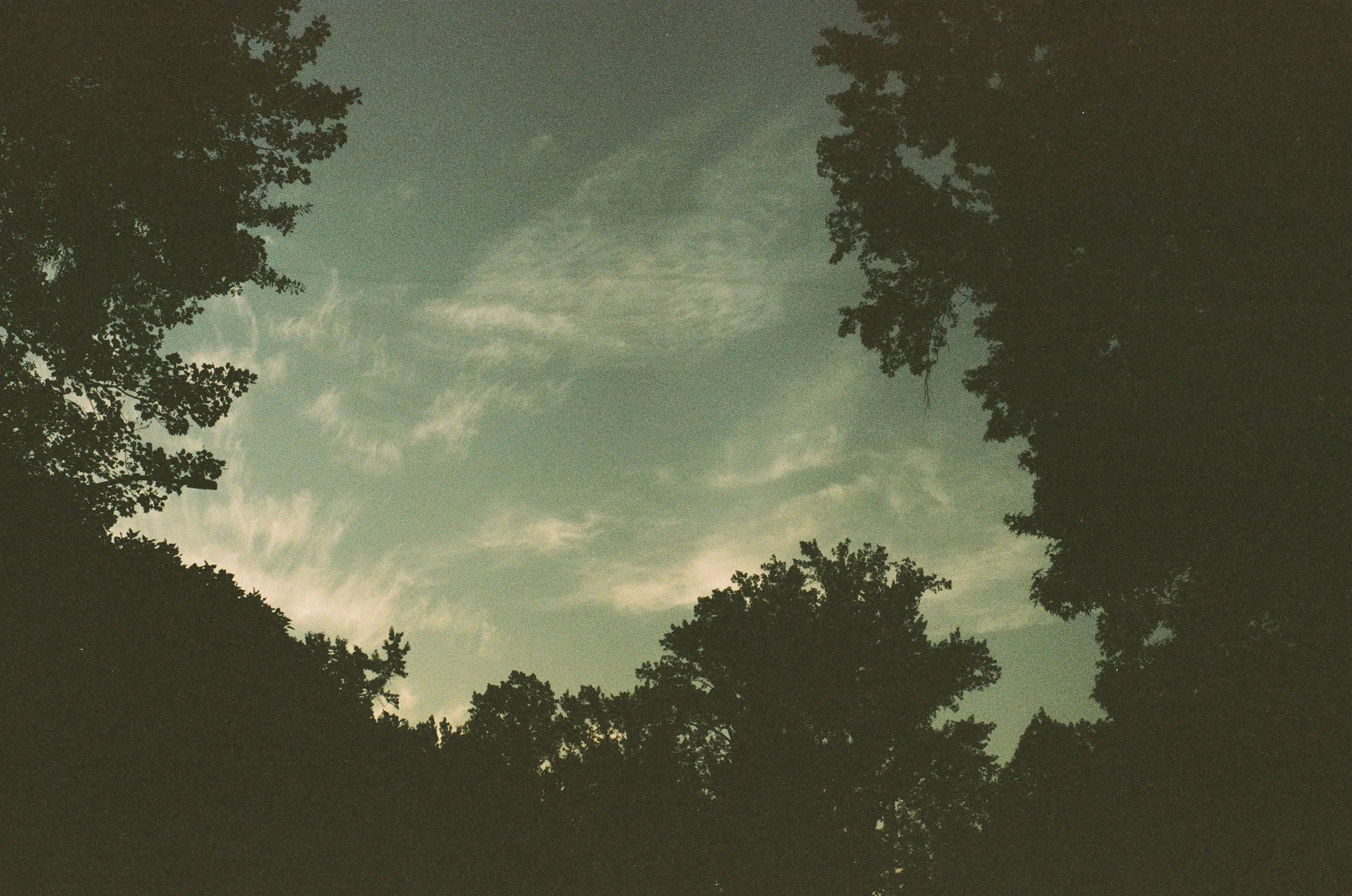 000049330032.jpg