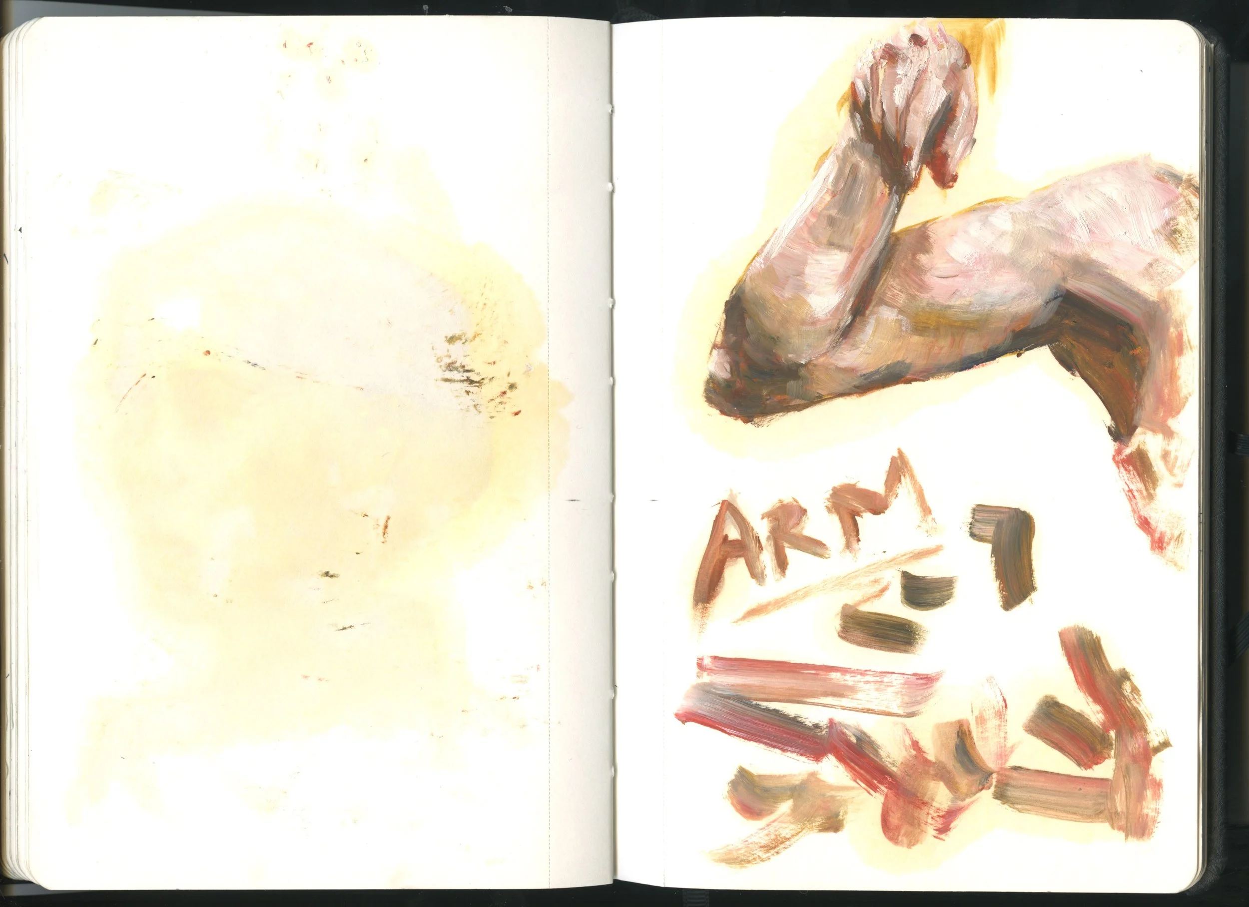scans062.jpeg