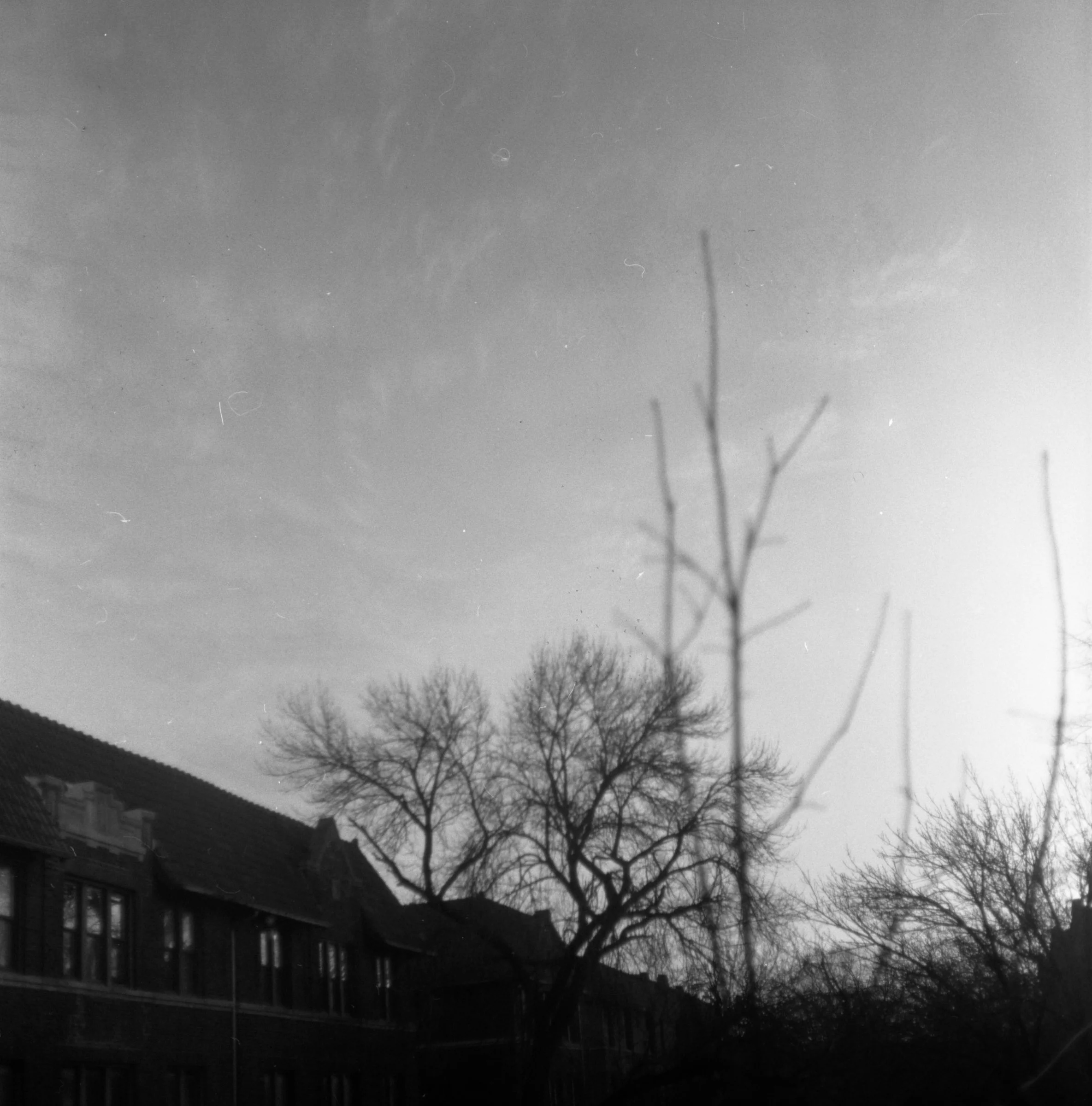 6x6 bw photos roll 1-01.jpg