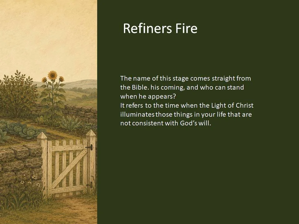 Slide6.JPG