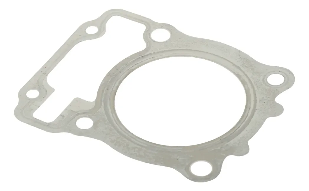 Empaque Cabeza Cilindro Hero Original  Xpulse 200t M03020004