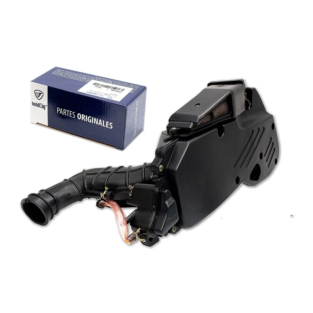 Filtro De Aire Italika Original DS125 Cs125 X125 F08010014