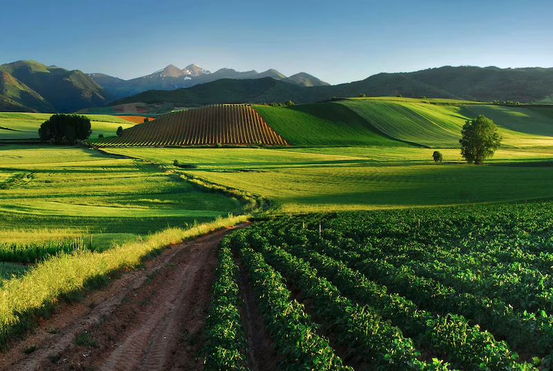 Douro Wine Series: Intro to Spain