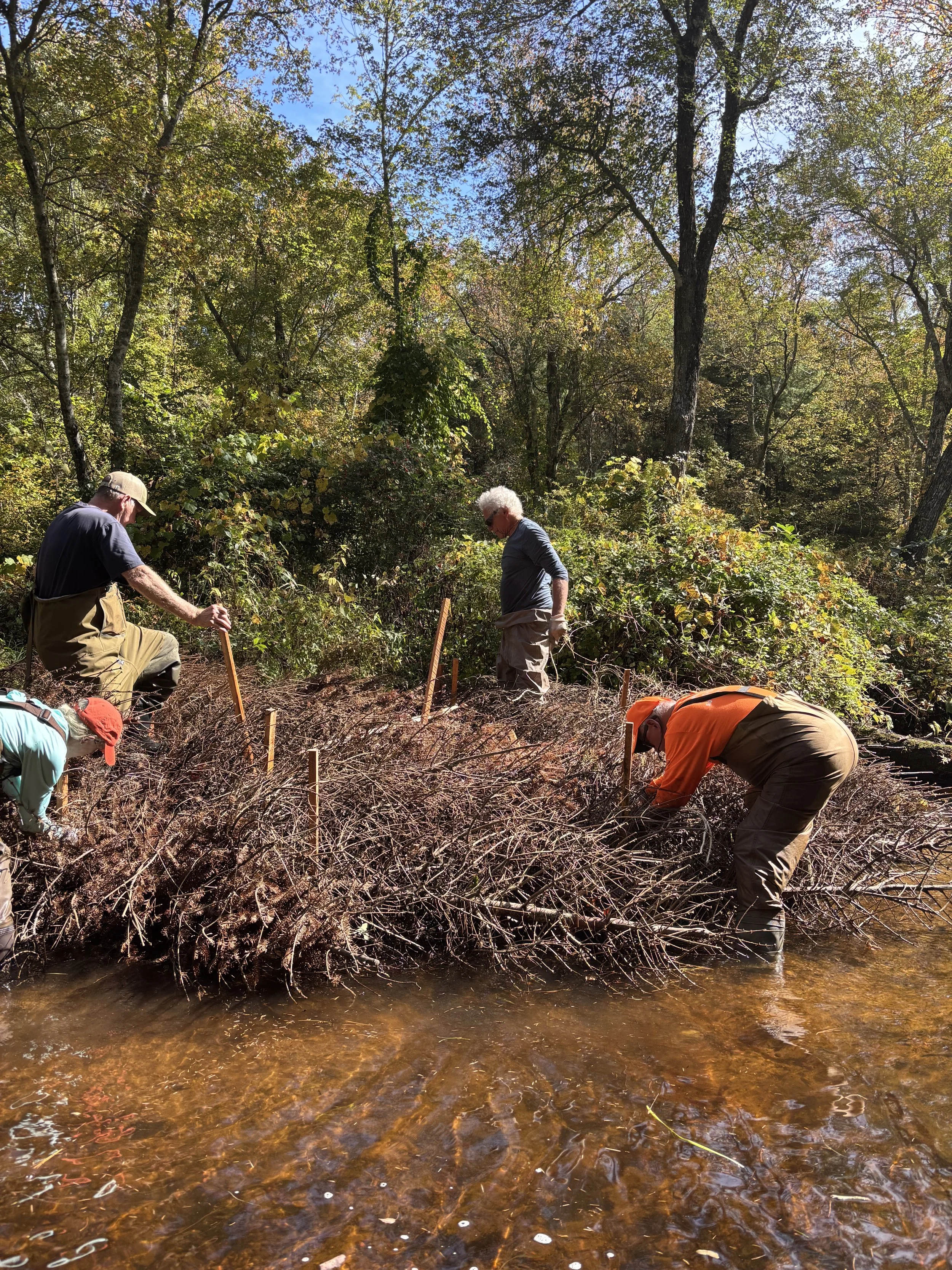 September 27, 2025  Looking good, time for the stakes.