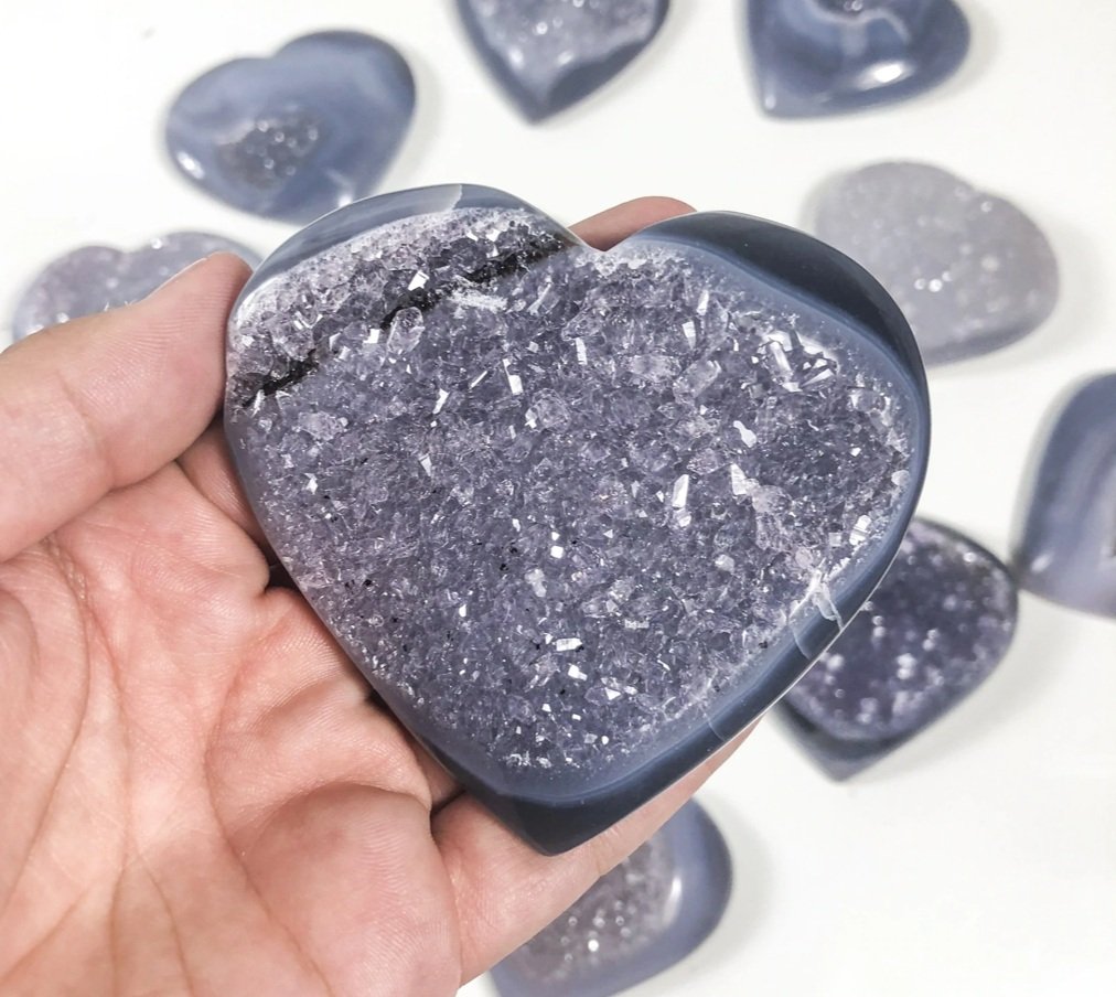 Screen Shot 2022-01-23 at 8.19.32 PM.jpg