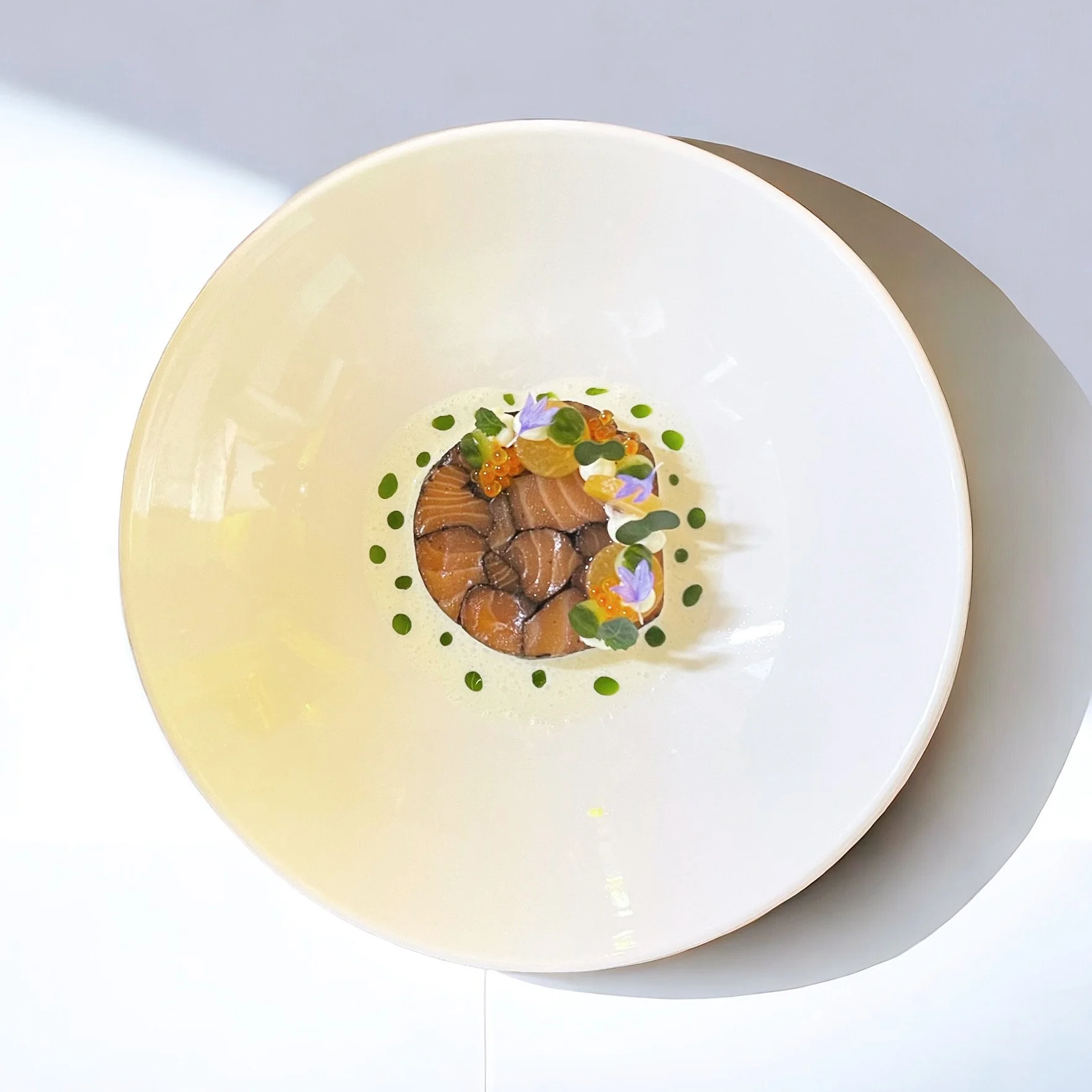 rouleau van zalm .JPG