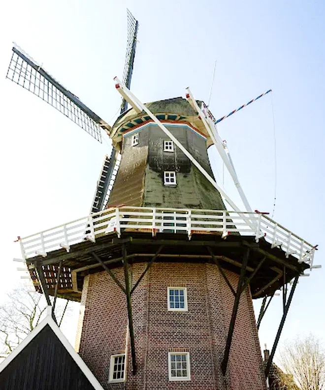 GR ONDERDENDAM De Molenaar.webp