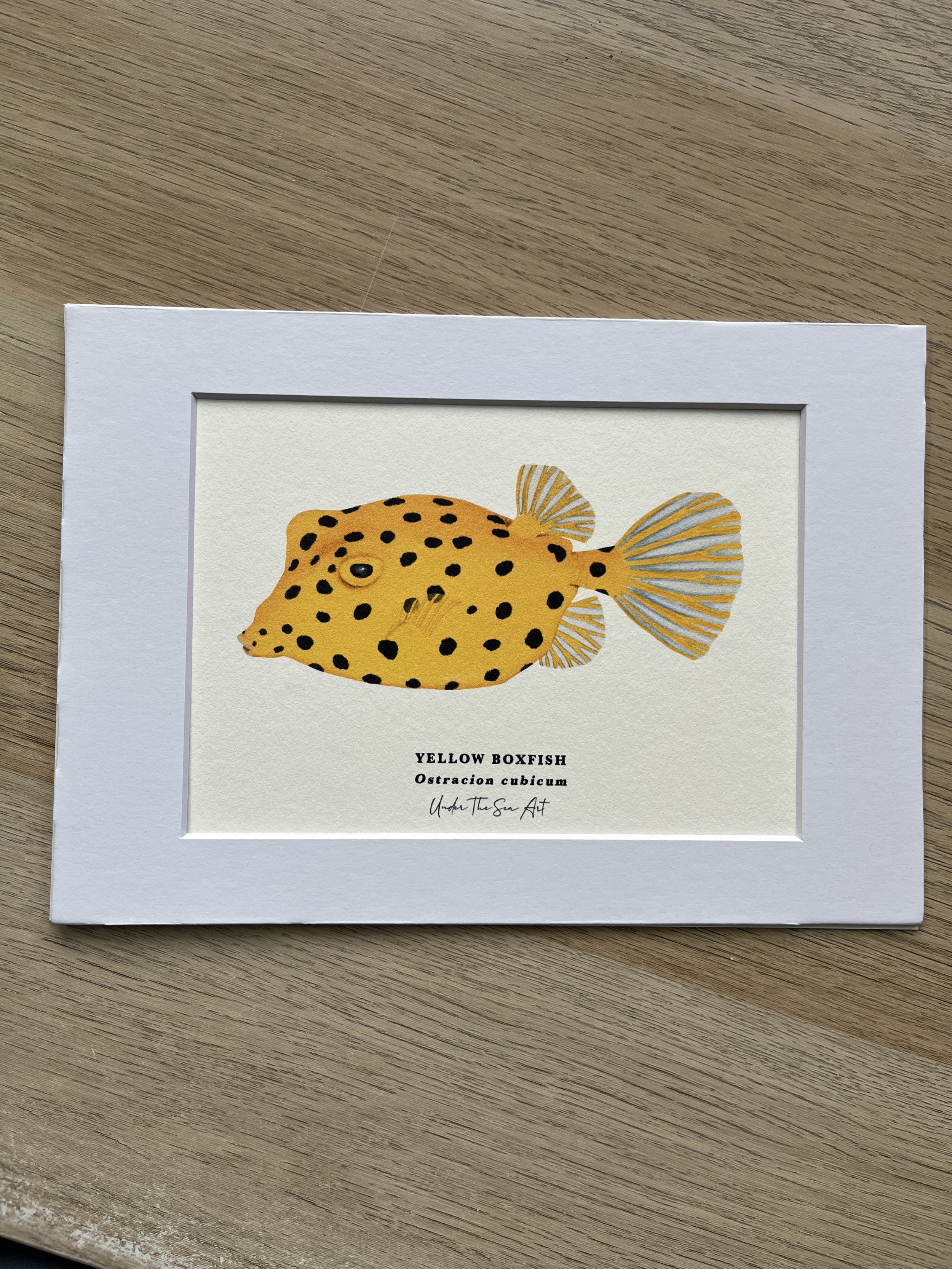 Yellow Boxfish Art Print - A5 - Perfectly Imperfect
