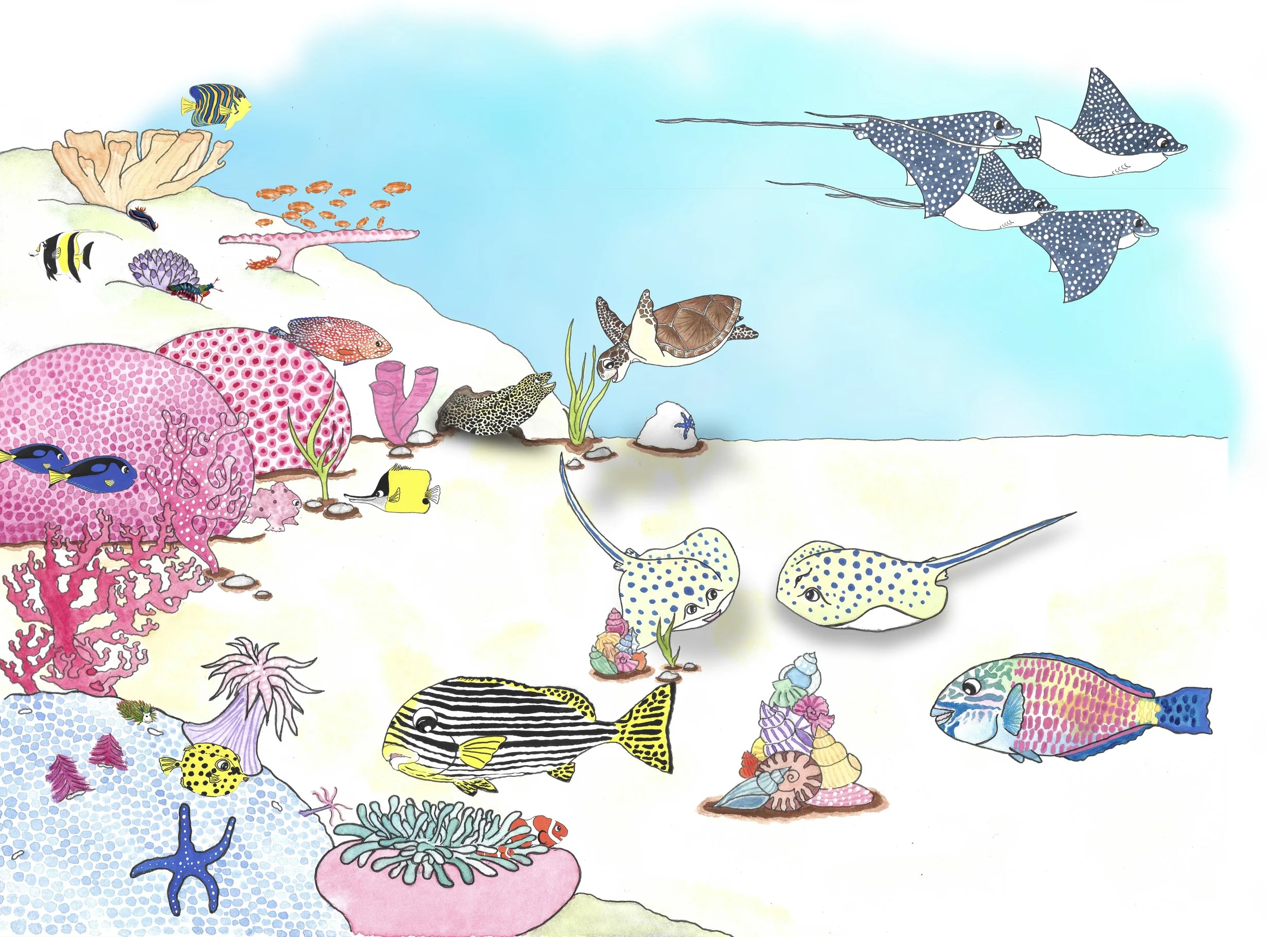 Coral reef test 2.jpg