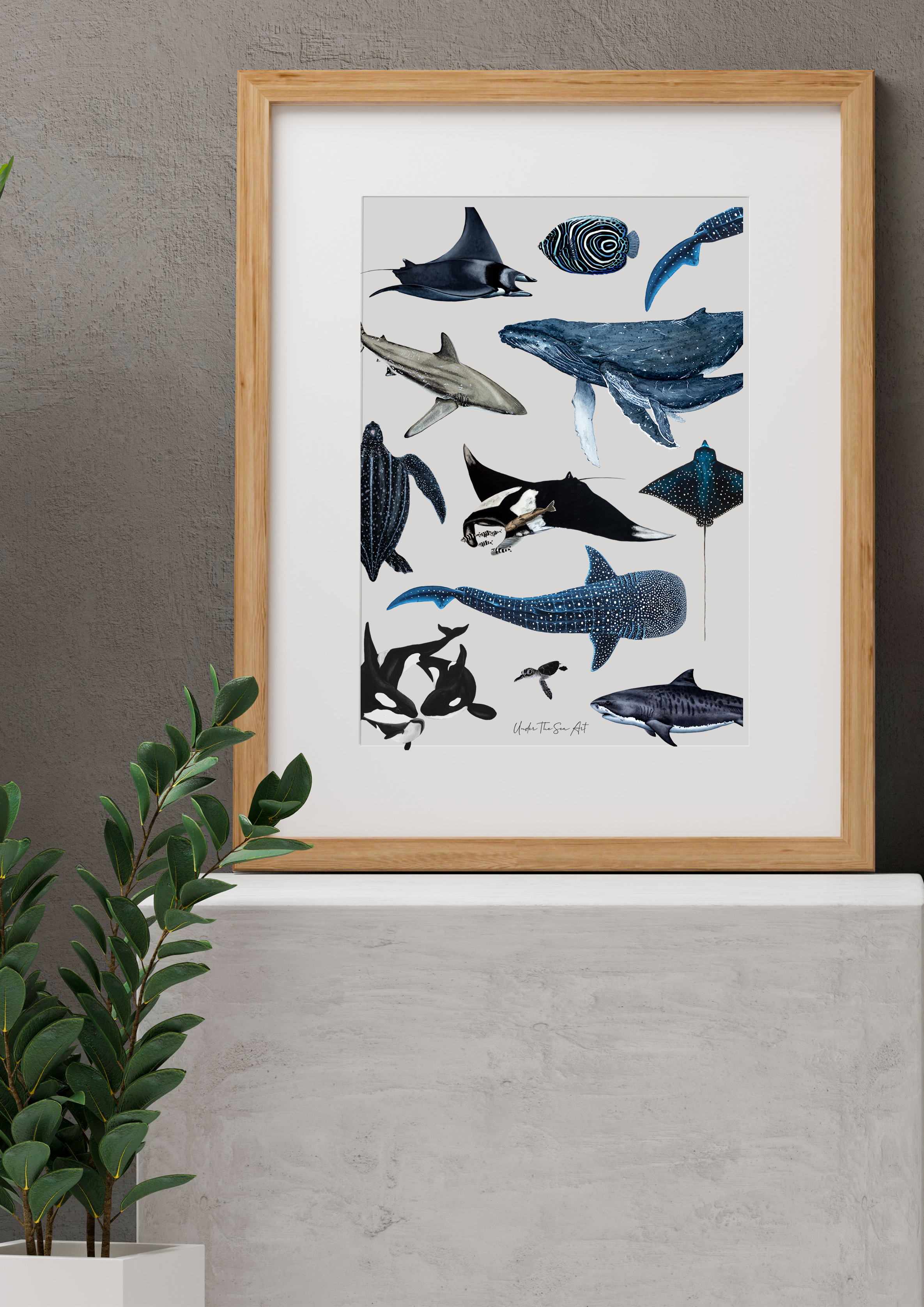 Marine Life Mock Up.png