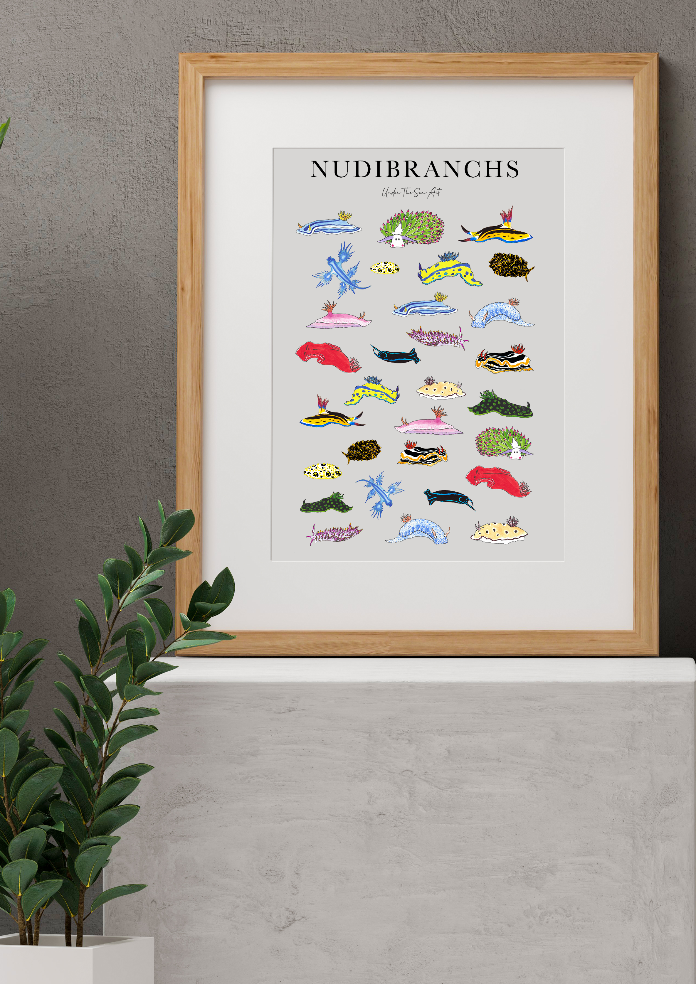Nudibranchs Mock Up.png