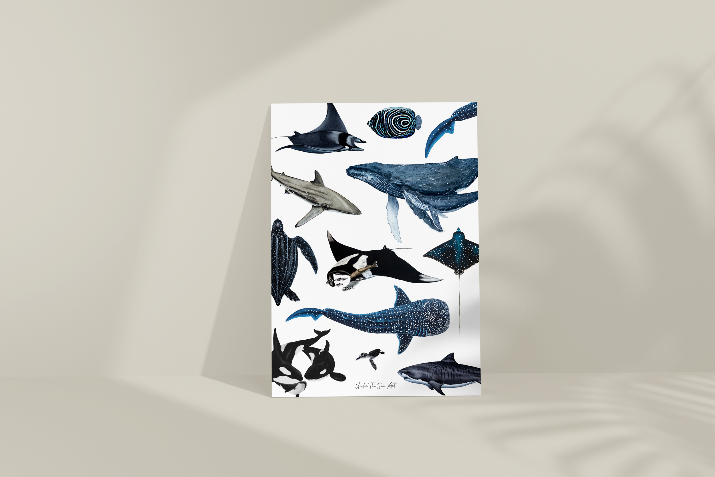 Marine Life No Frame.png