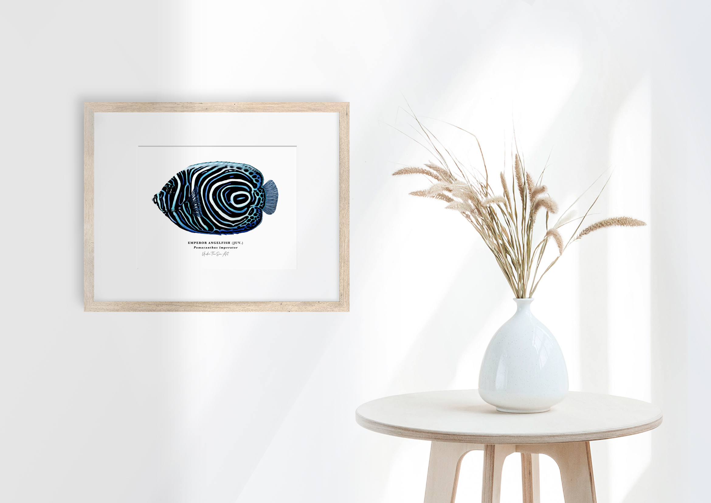 Angelfish Juv Wooden Frame.png