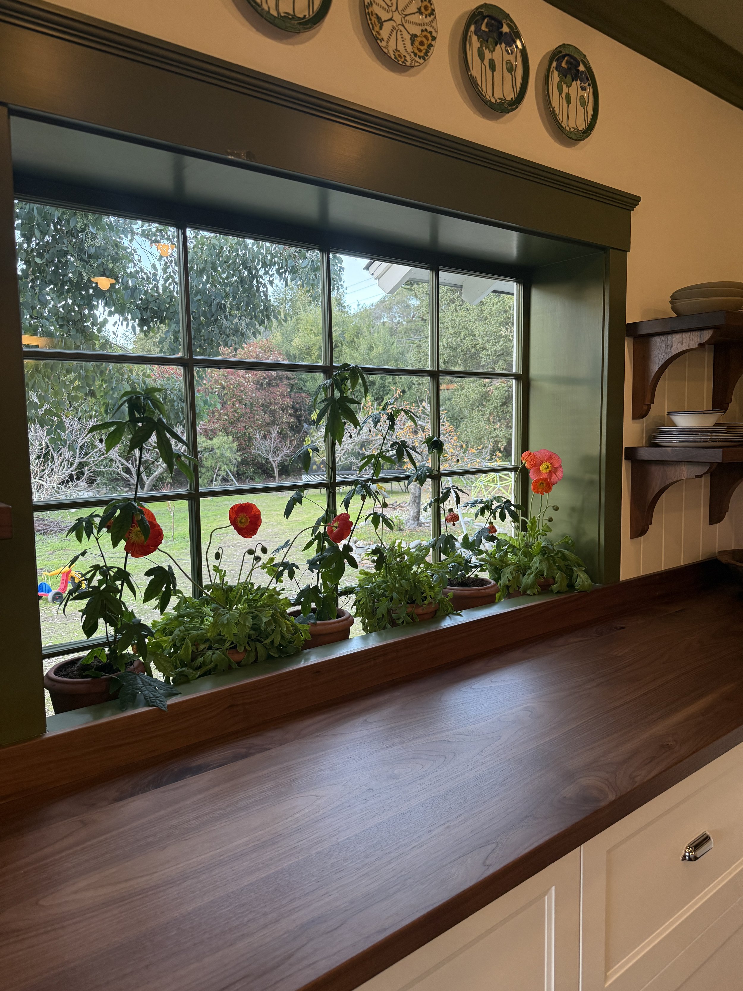 LWD_Carmel_Kitchen Window.JPG