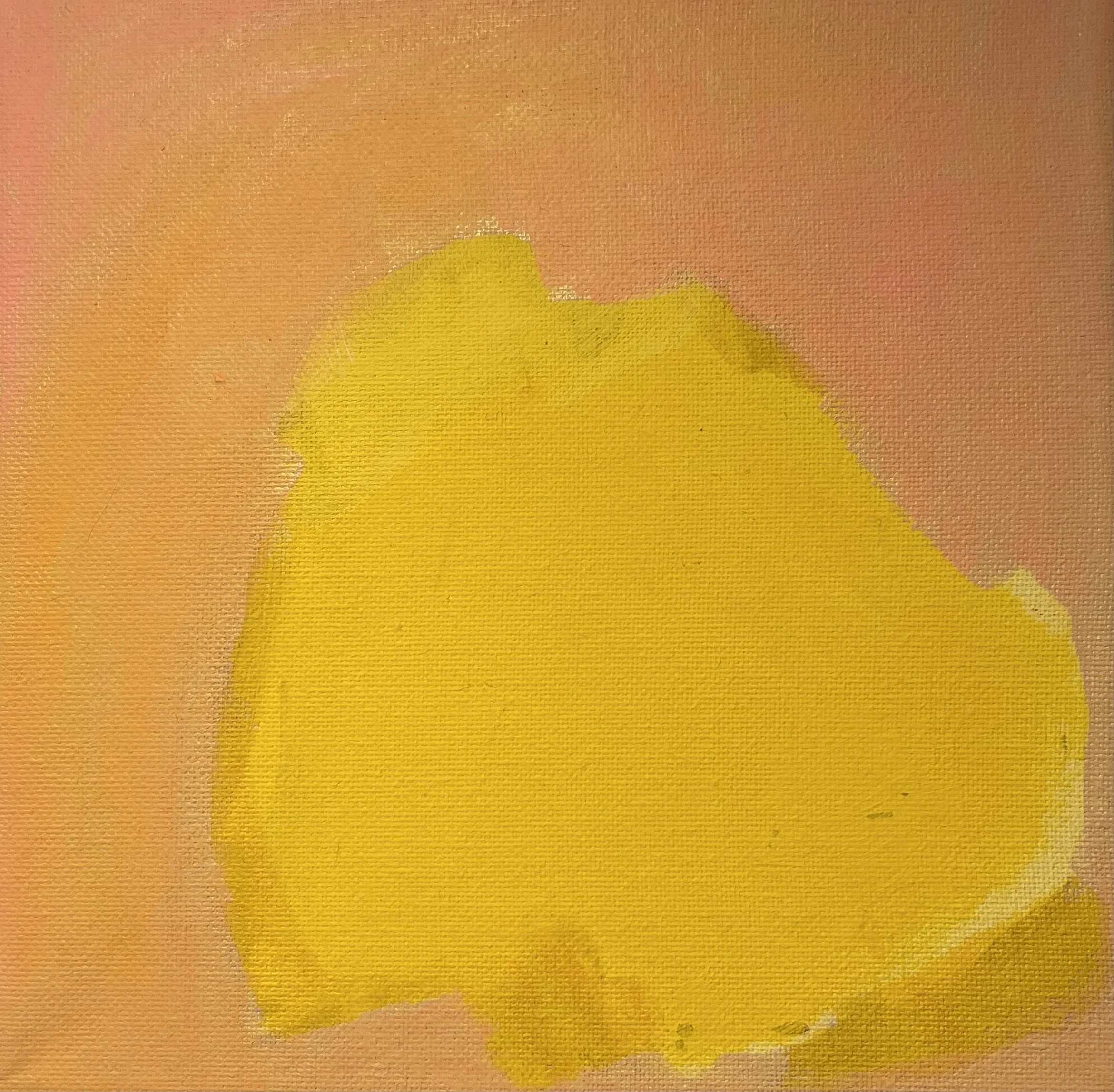 Gull 20x20