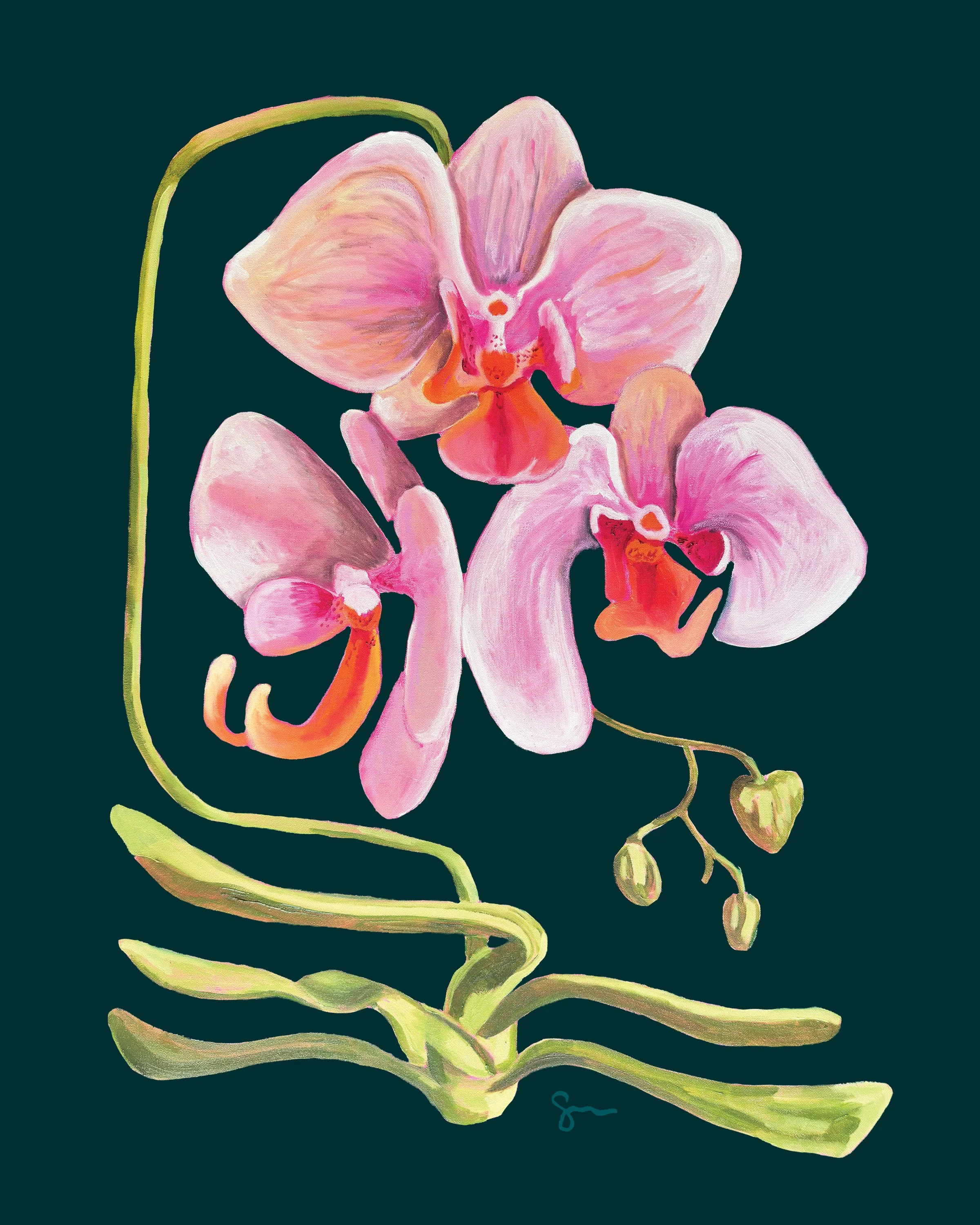 Orchids_8x10.jpg