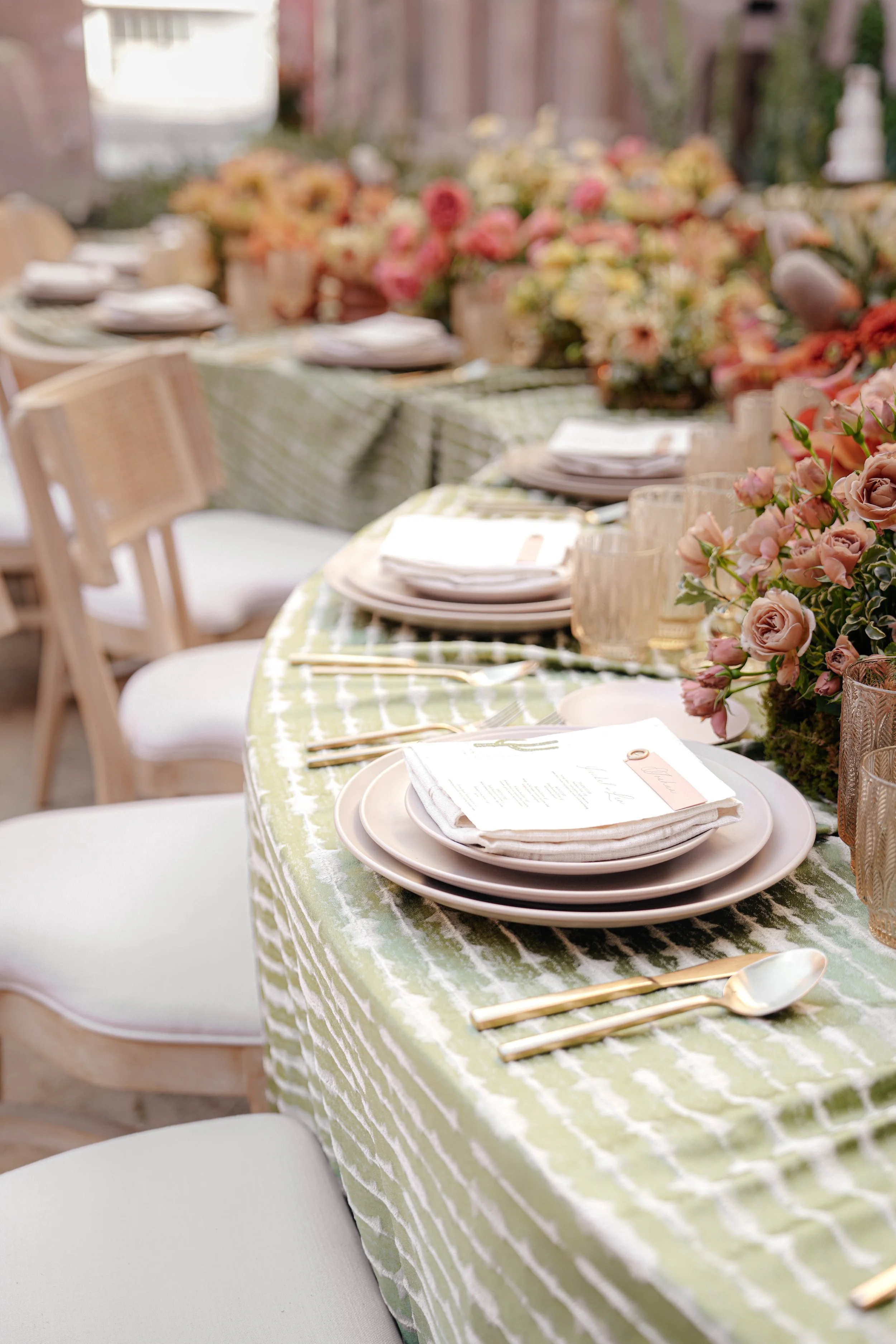 Song of Sanè - SSAA Phenix - Details (30).jpg