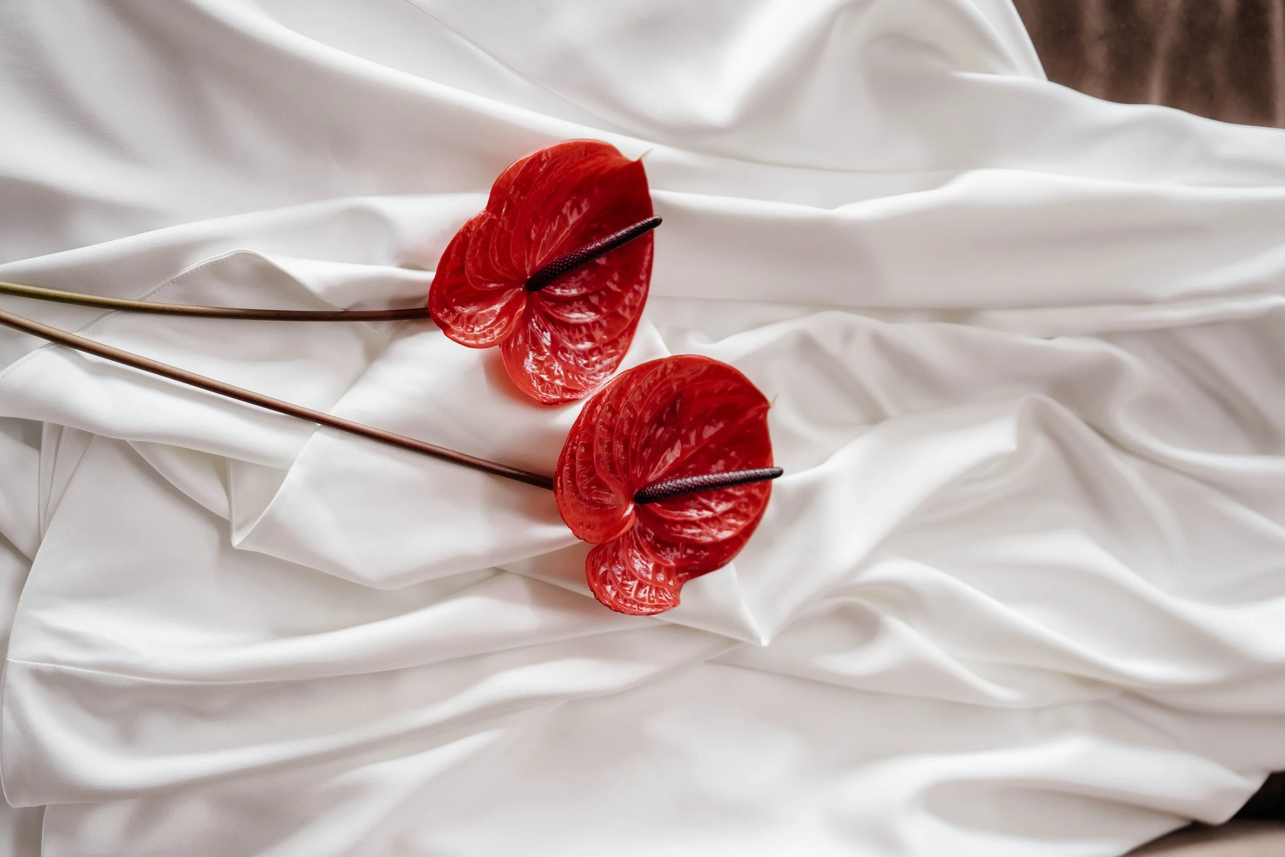 Song of Sane x Winter Editorial (22).jpg