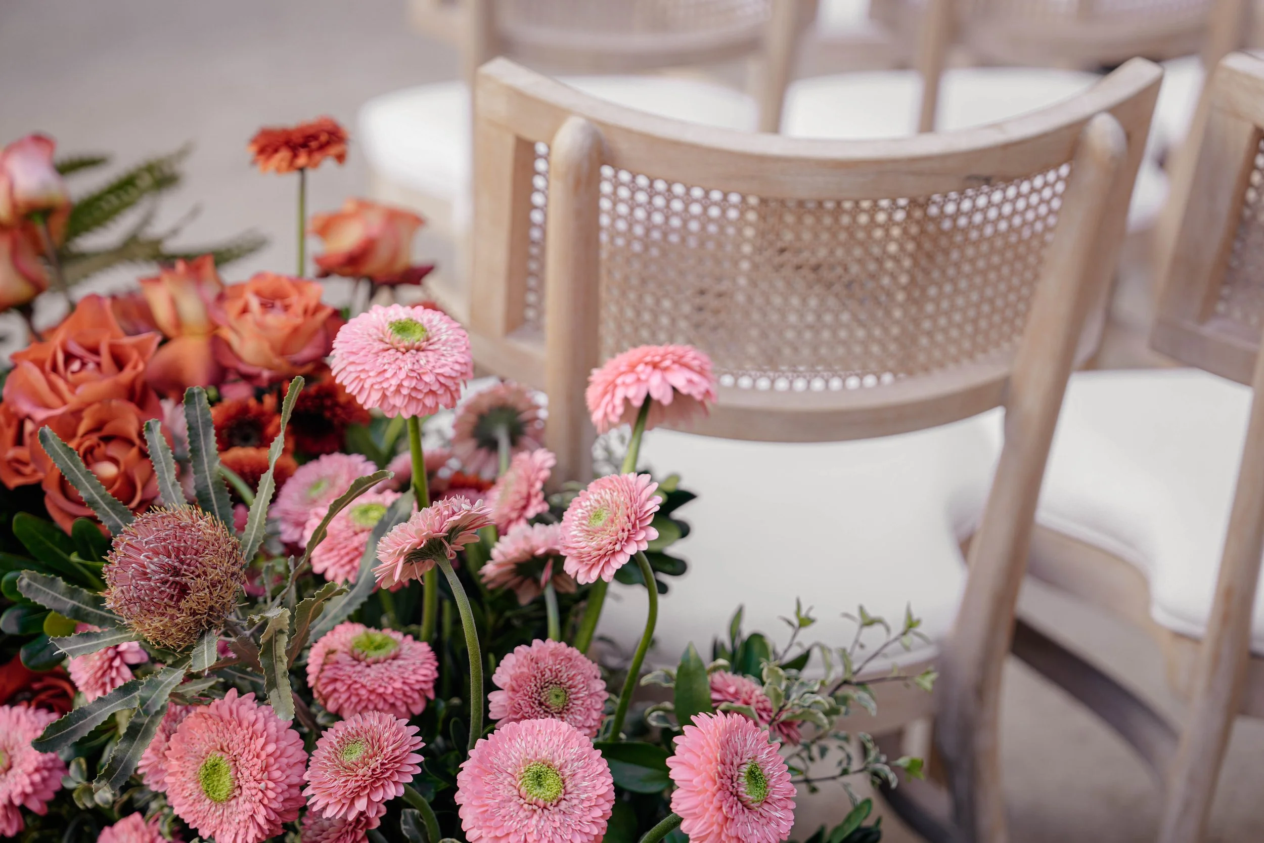 Song of Sanè - SSAA Phenix - Details (8).jpg