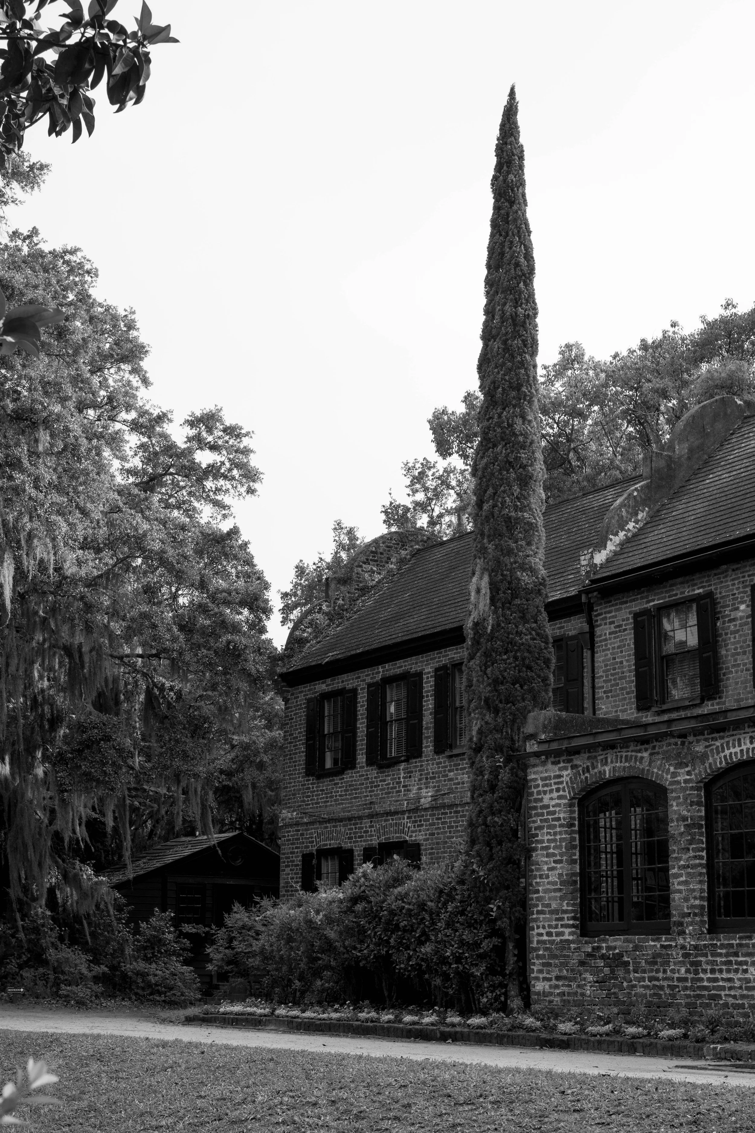 A black and white photo of a brick house with black-shuttered windows, a tall, narrow tree in front, and trees with Spanish moss surrounding the house.