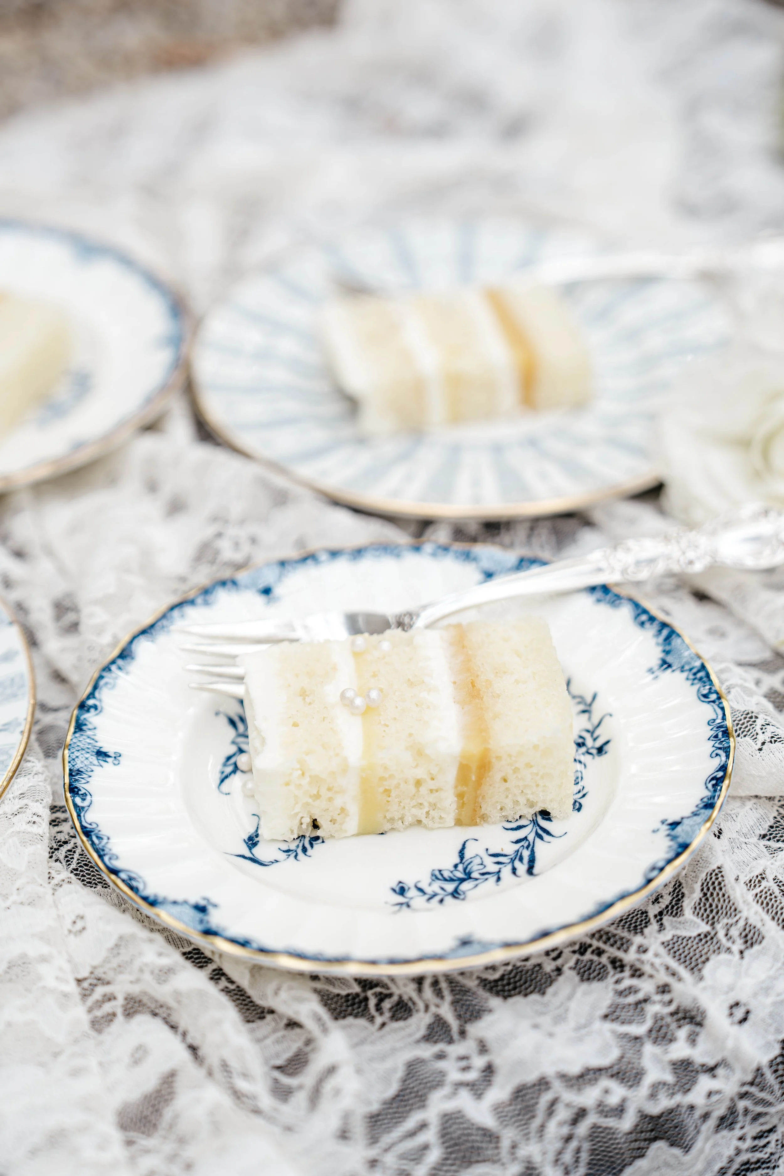 Song of Sanè - Swan House - Reception-32.jpg