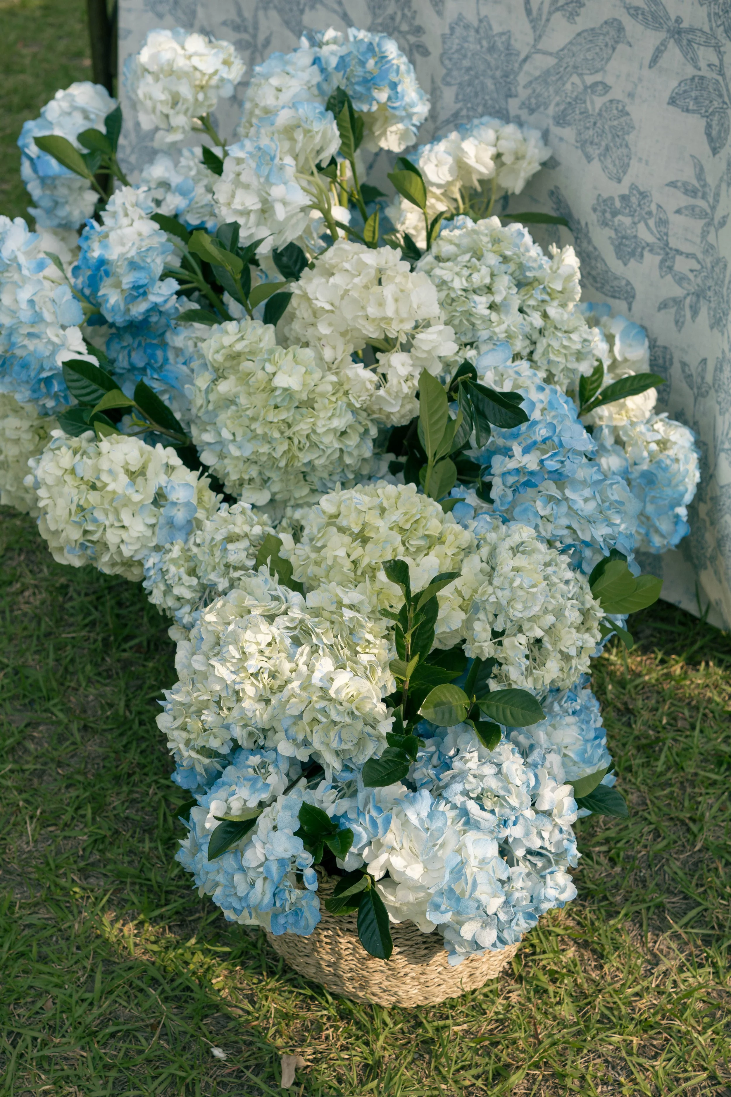 Song of Sanè - Middleton Place Scenes (28).jpg