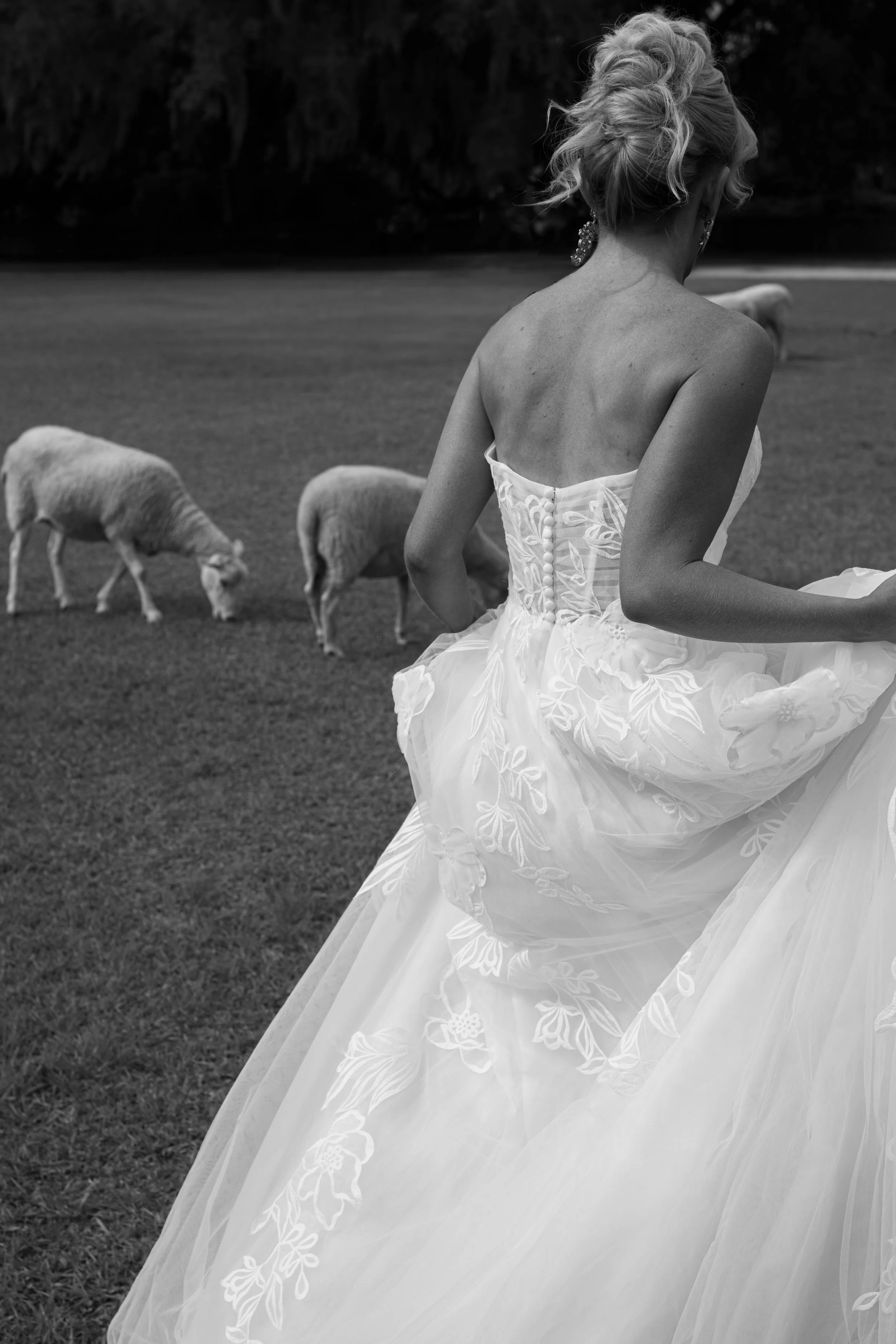 A woman in a strapless wedding dress in a field, with grazing sheep in the background.
