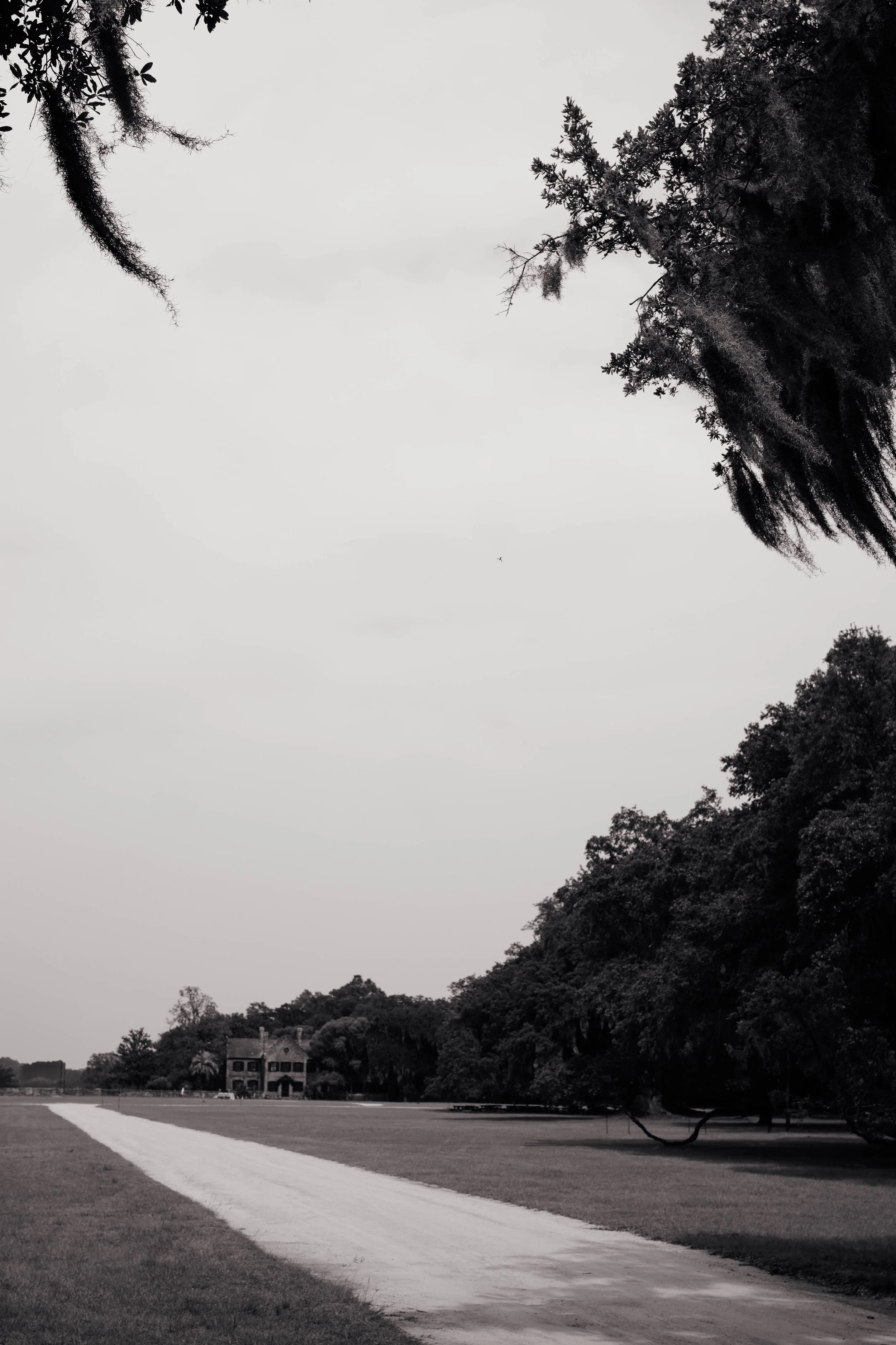A black and white photo of a grassy field with a path leading towards a house in the distance, surrounded by trees and an overcast sky.
