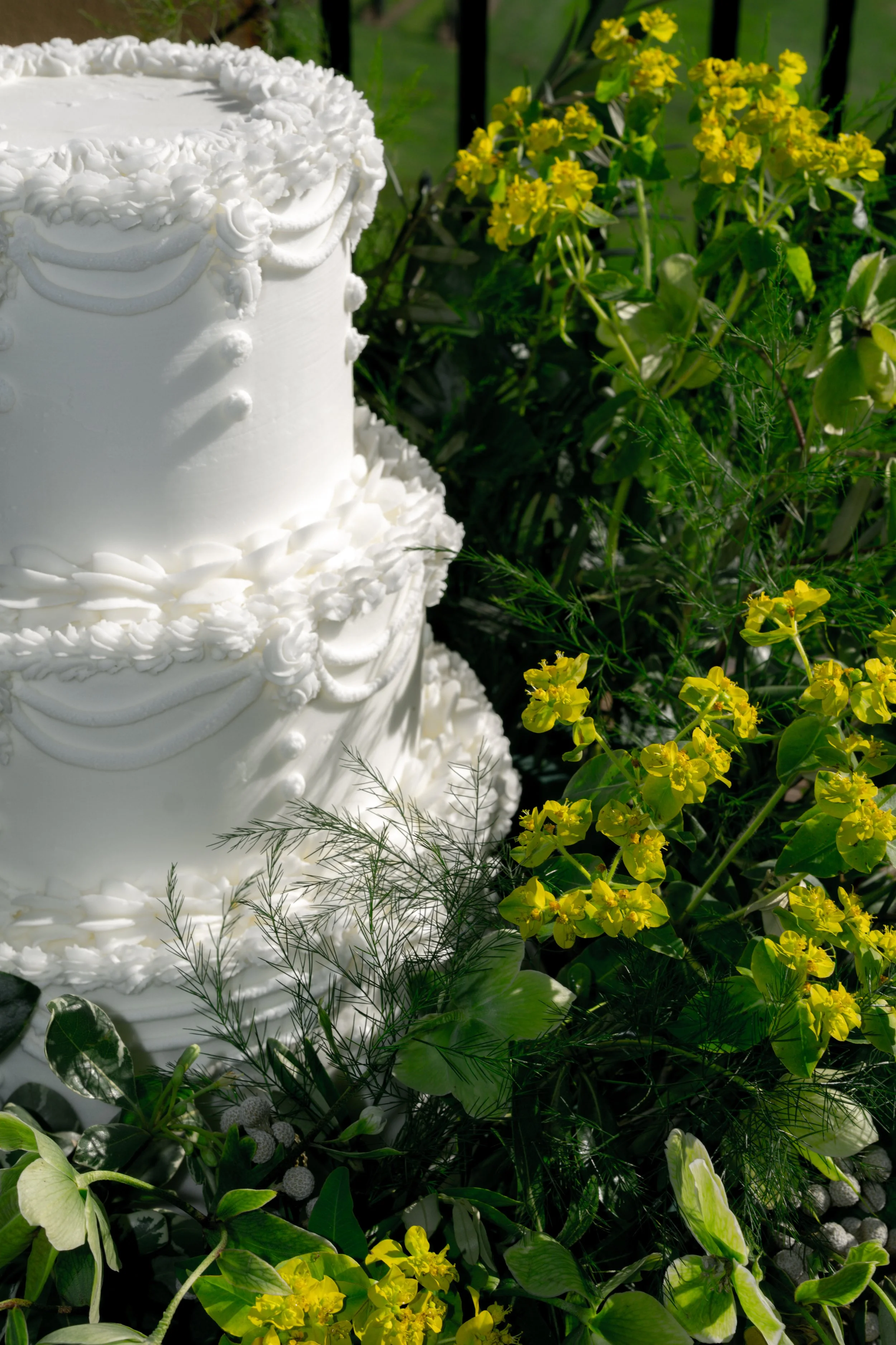 Song of Sanè - Montaluce09.jpg