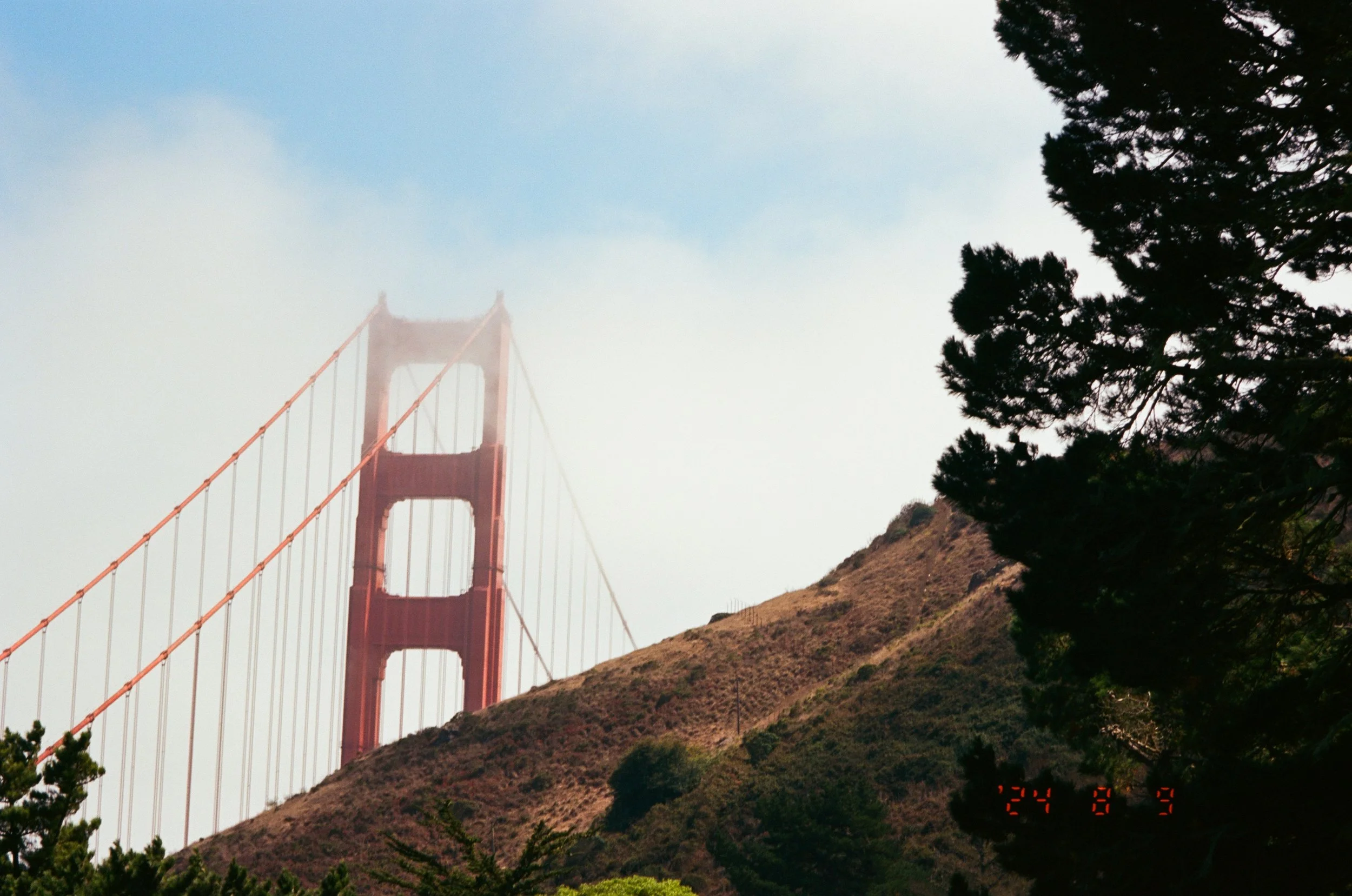 Golden Haze - Color 35mm Film (2024)