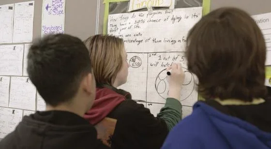 Students compare mathematical ideas at shared whiteboards.