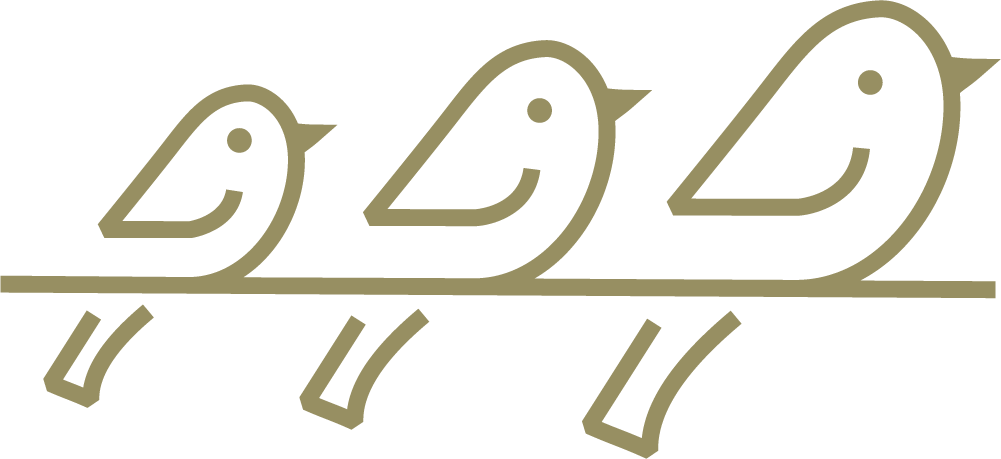 aesthetic school denver