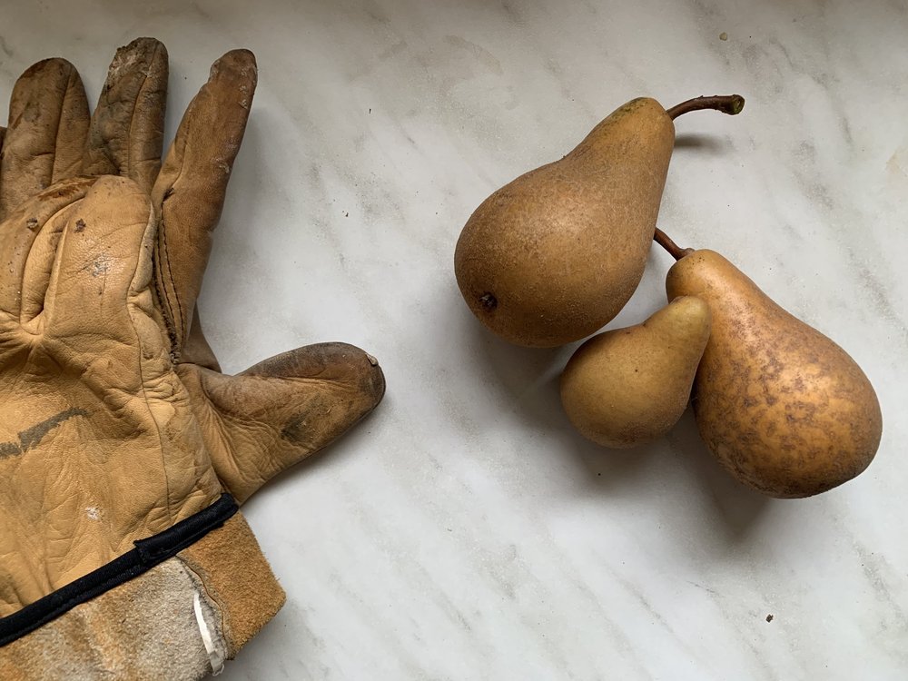 About — PARE Interior Design + Product Design