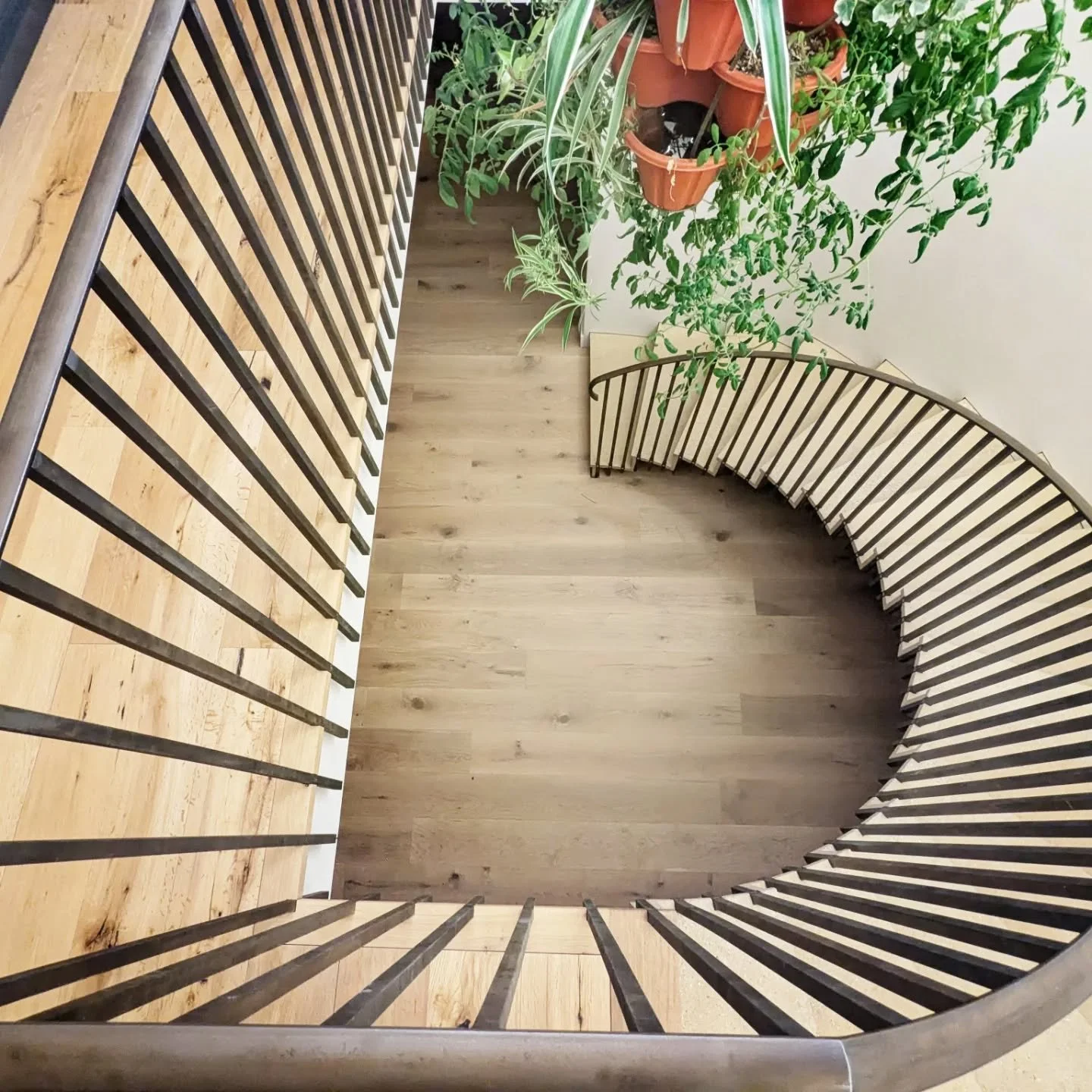 Oh, we love a staircase. 

This sweeping, semi-circular staircase brings drama and light to this Somerset barn conversion. The steel handrail and balustrade remind us of a fossilised ammonite. 

There is something so satisfying about the relationship