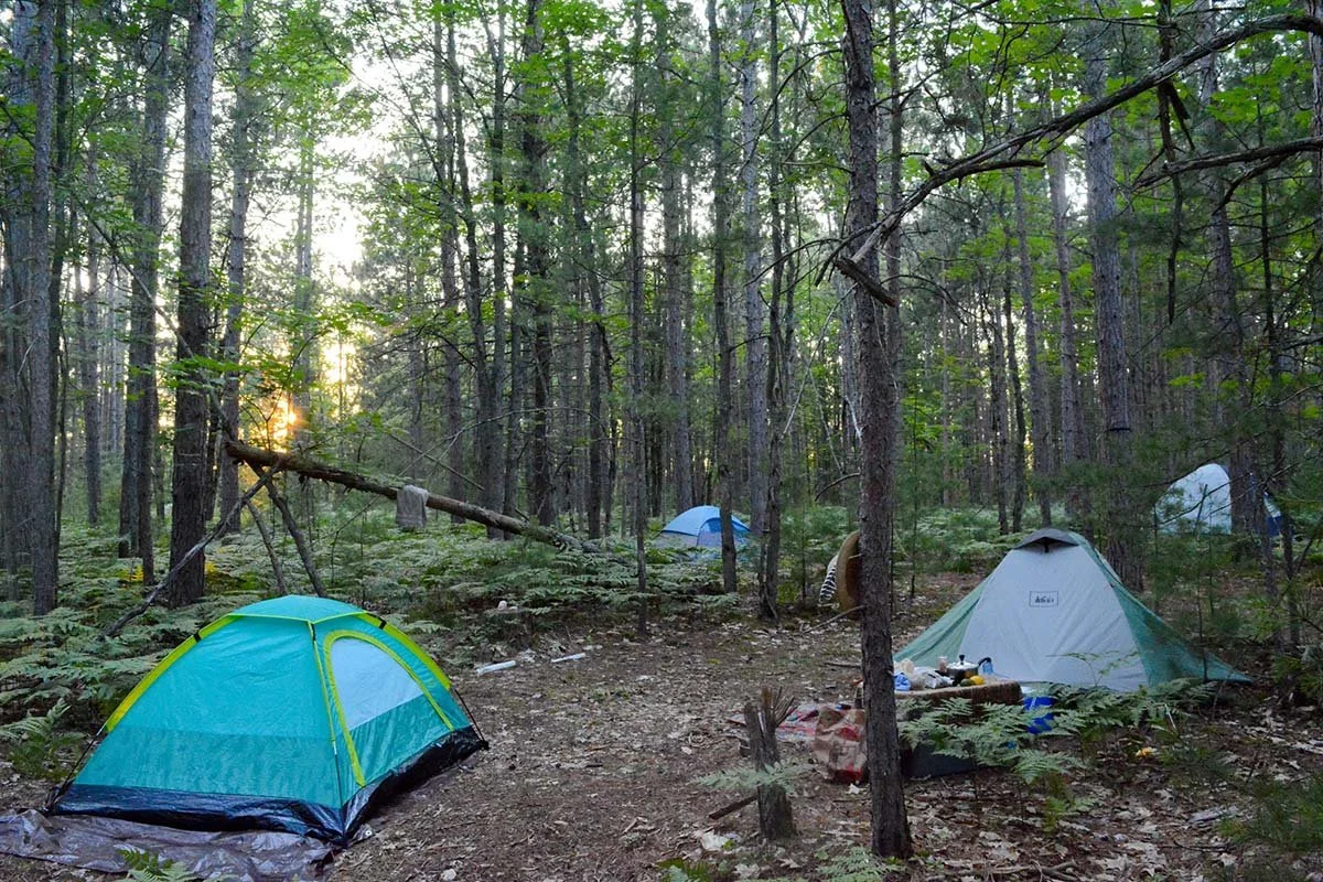 Camping_woods.jpg