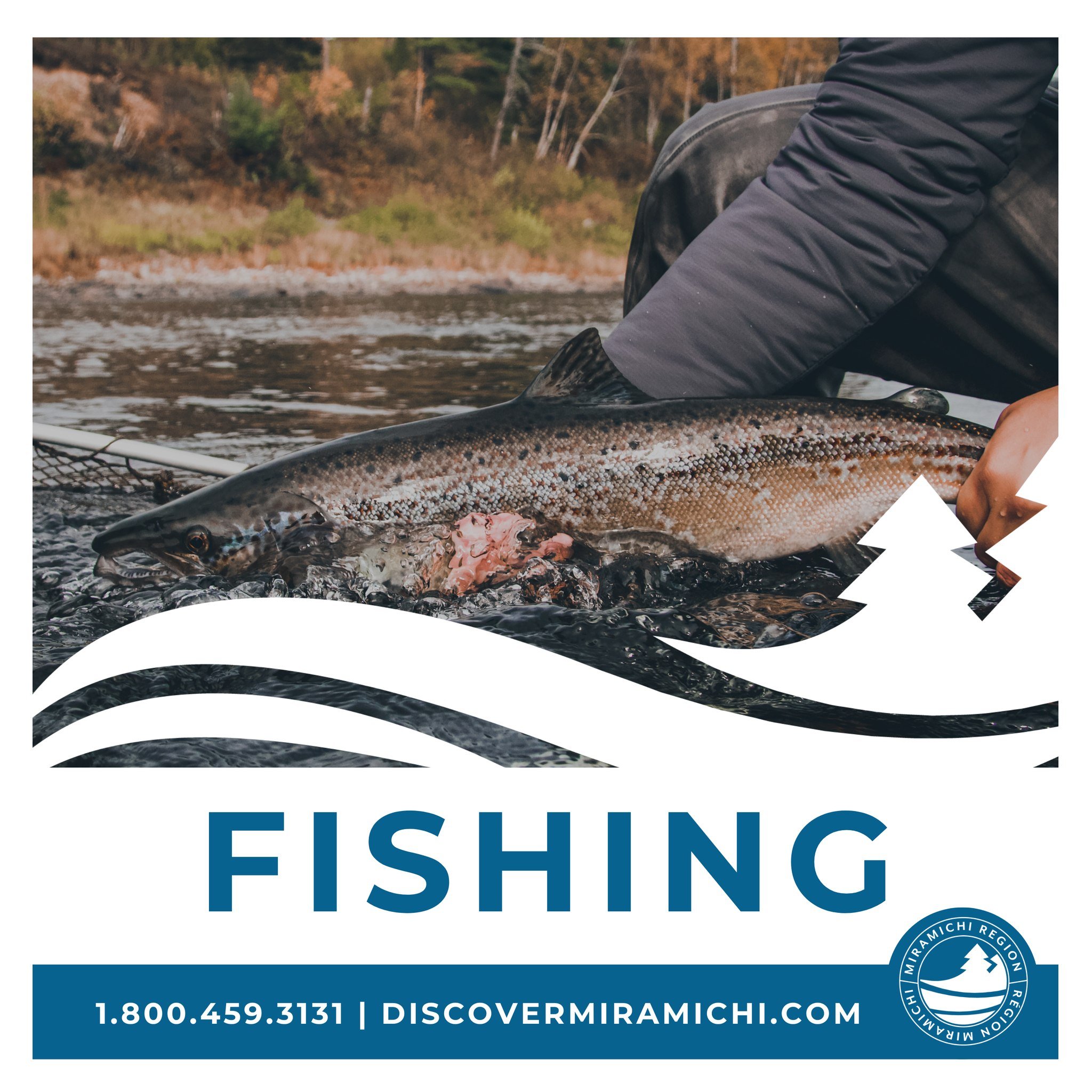 Famous for our fishing, the Miramichi Region offers a variety of packages for the ultimate fishing vacation. Cast your line alongside experienced guides who can take you to that secret spot or compete in Atlantic Canada&rsquo;s premier bass fishing e