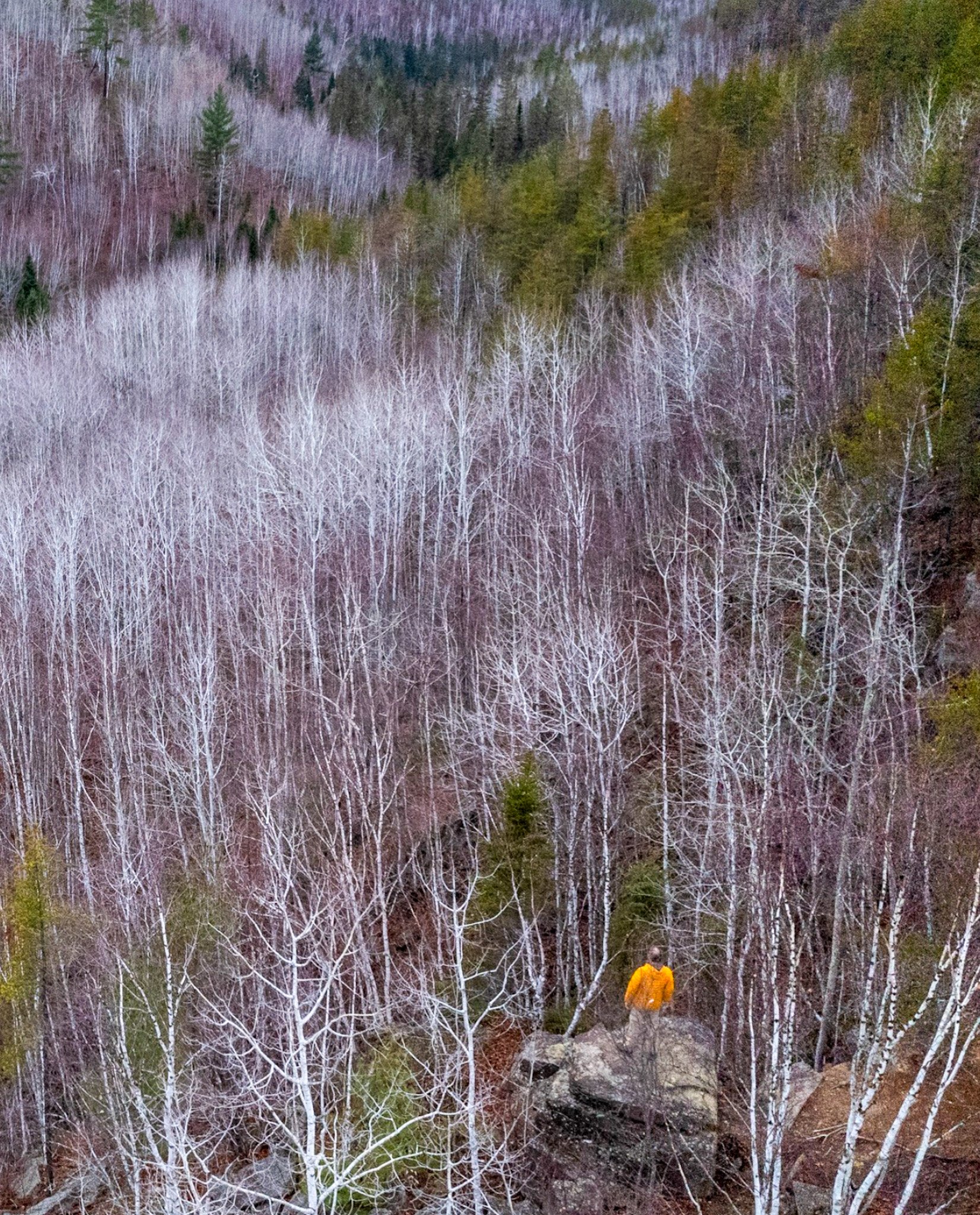&quot;French Fort Cove is beautiful even in the gray season. My favourite lookout on the Creaghan Gulch Trail.&quot;

We couldn't have said it better ourselves. Let this be your sign to get out and enjoy the great outdoors! 🌲

Thank you for sharing,