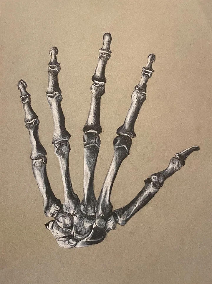 skeletonhand.jpg