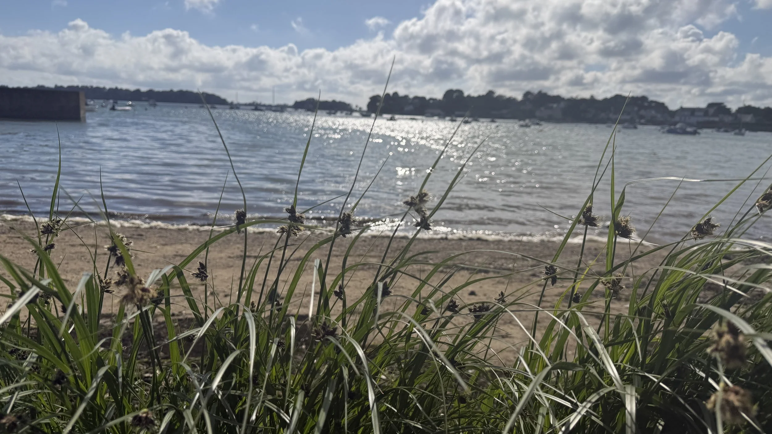 Finding Our Travel Sweet Spot