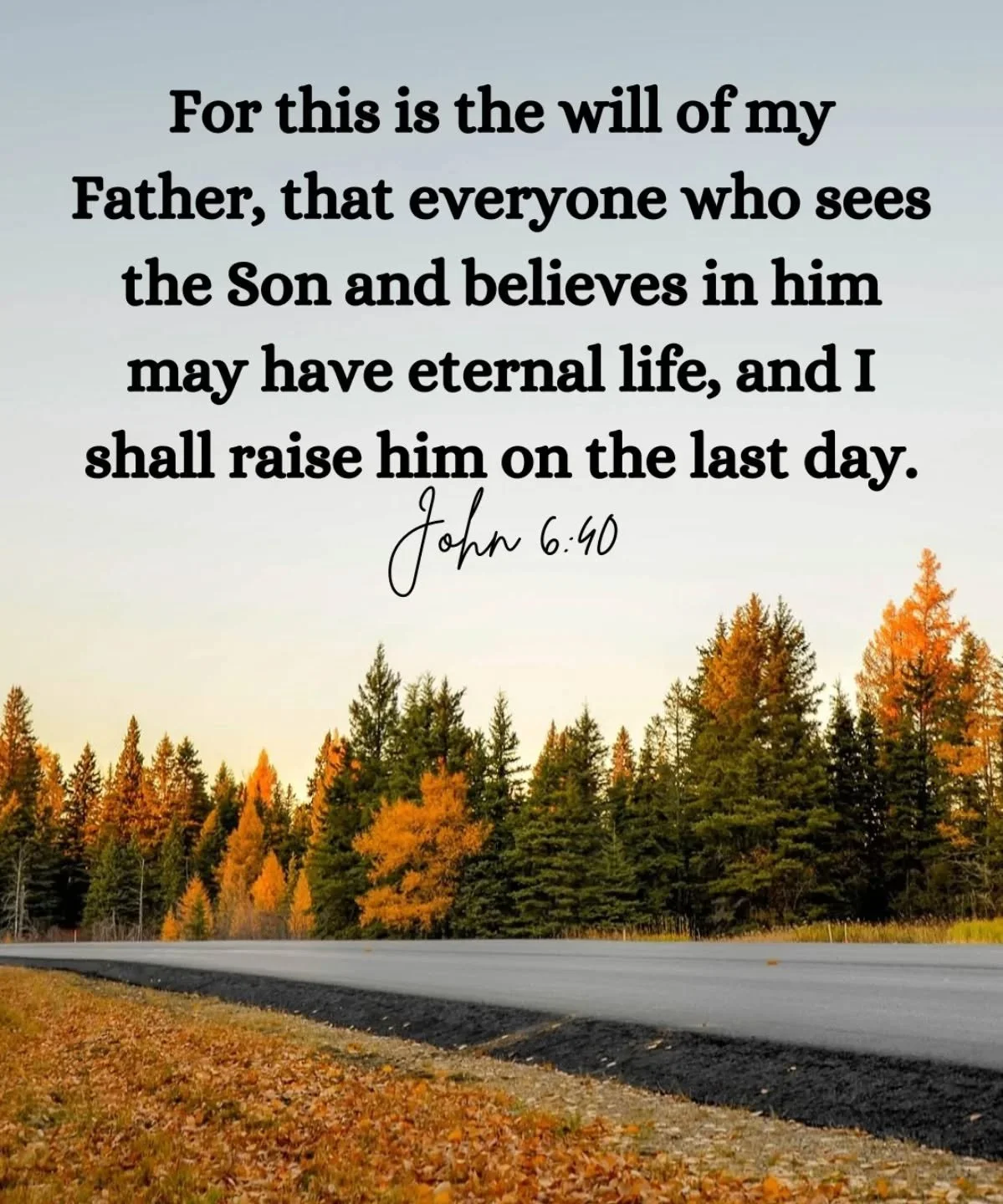 Midweek Reflection 🙏 

Jesus said to the crowds:
&ldquo;Everything that the Father gives me will come to me,
and I will not reject anyone who comes to me, because I came down from heaven not to do my own will but the will of the one who sent me. And