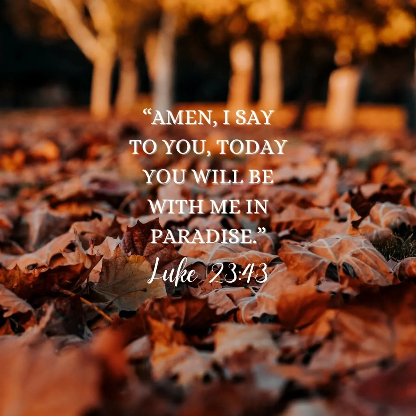 Midweek Reflection 🙏 

The rulers sneered at Jesus and said, &quot;He saved others, let him save himself if he is the chosen one, the Christ of God.&quot; Even the soldiers jeered at him. As they approached to offer him wine they called out, &quot;I